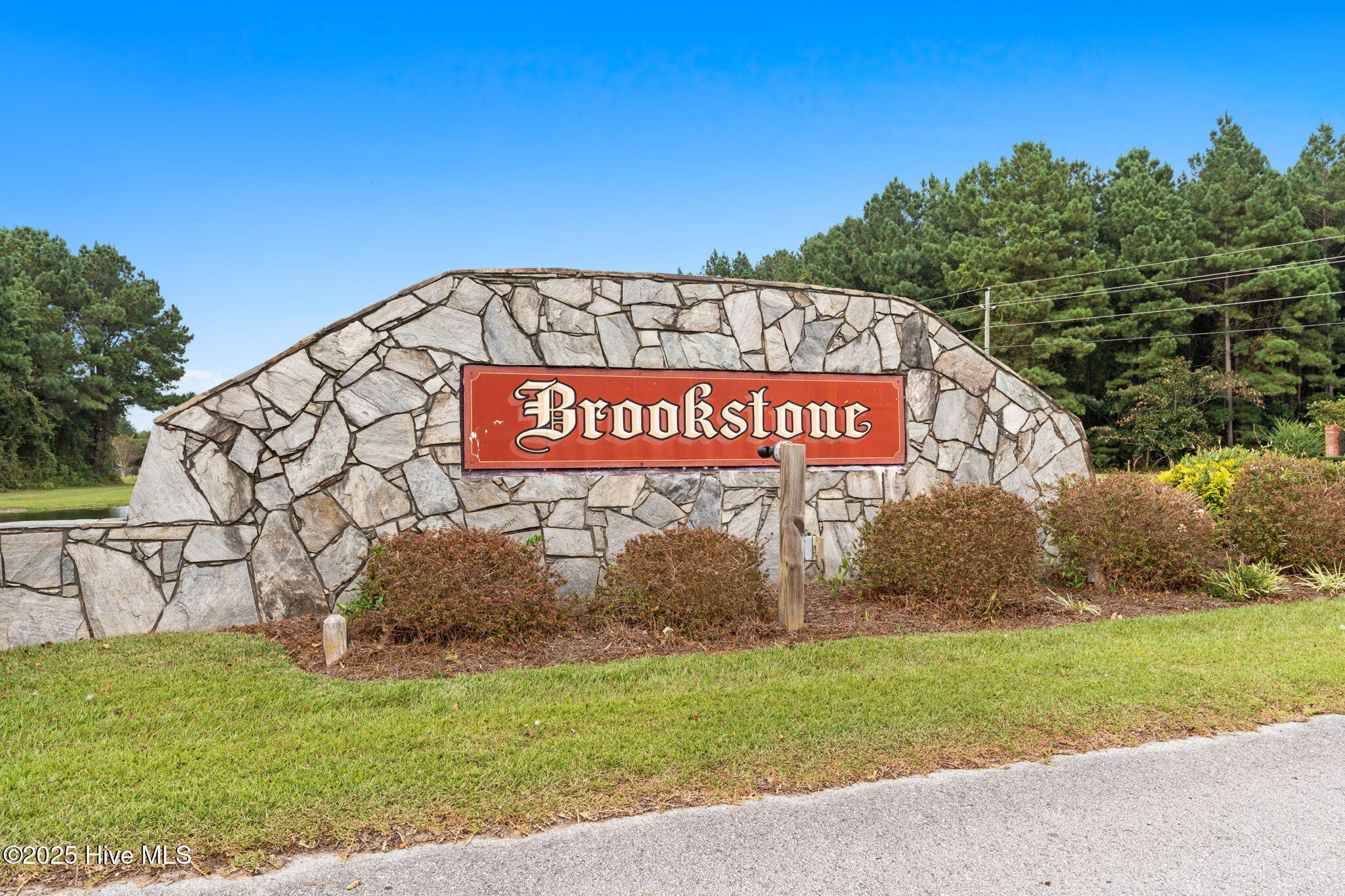 100532081 | Photo 63