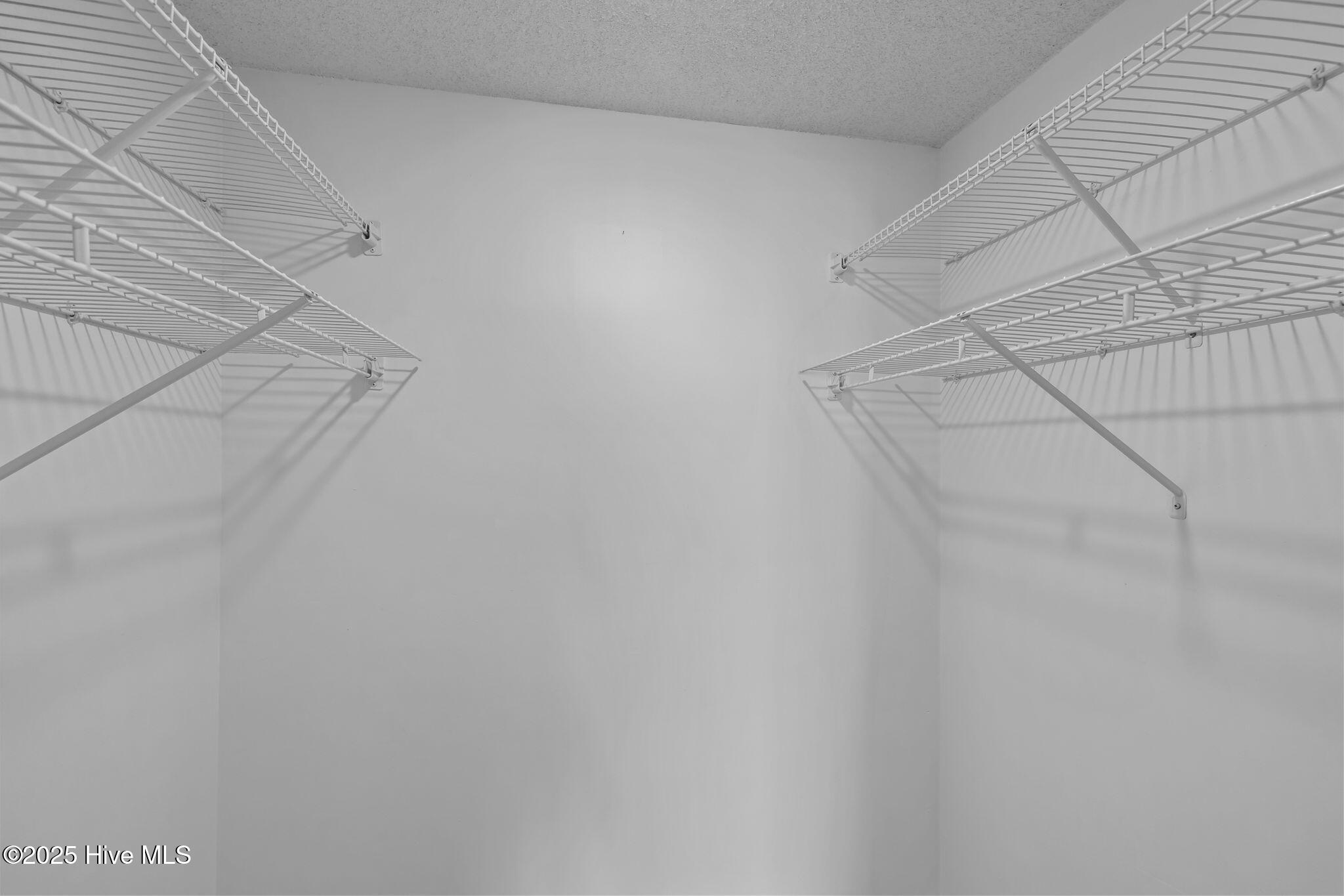 100518797 | Photo 29