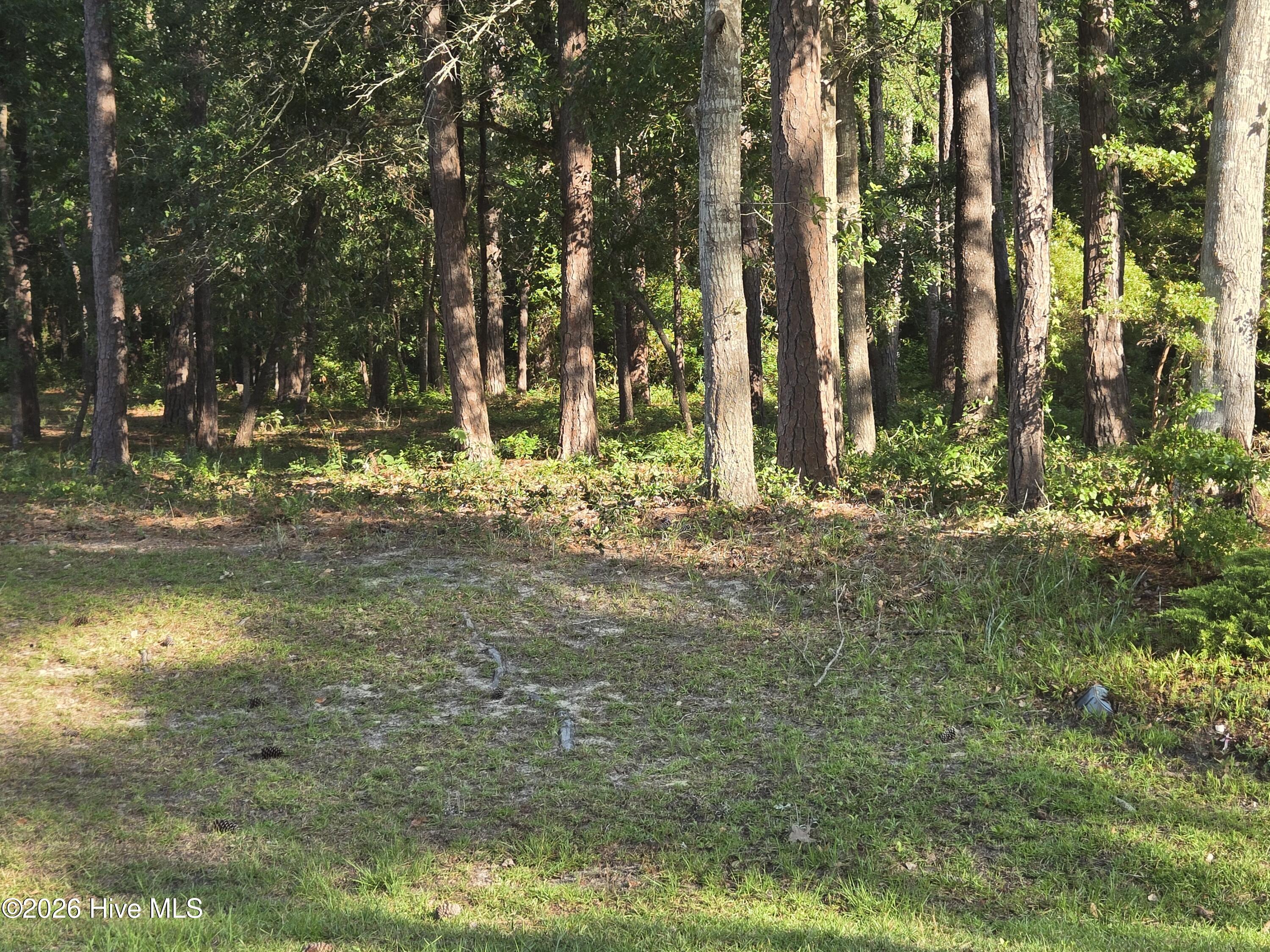 Carolina Barrier Islands Carolina Barrier Islands