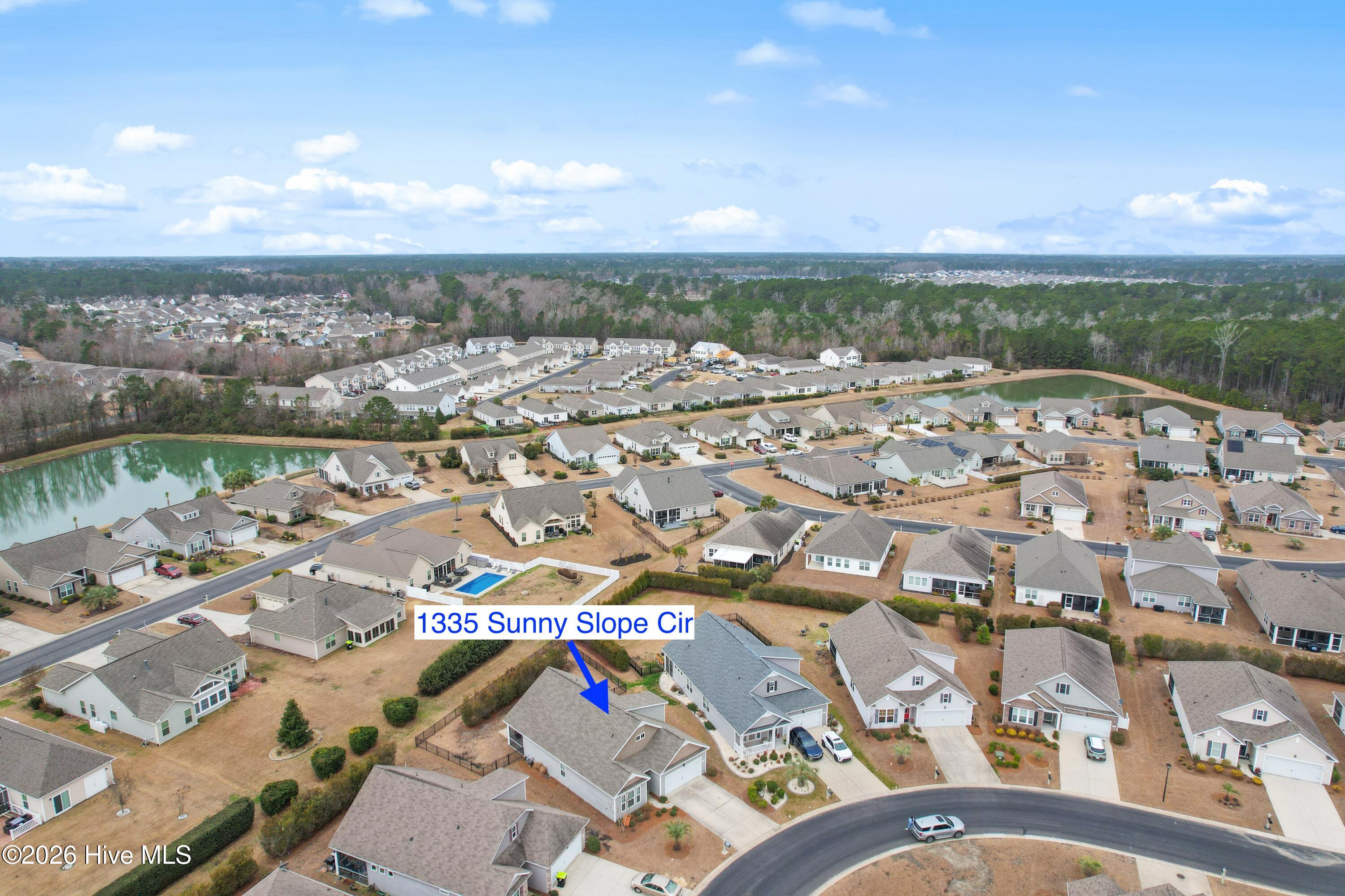 100555965 | Photo 46