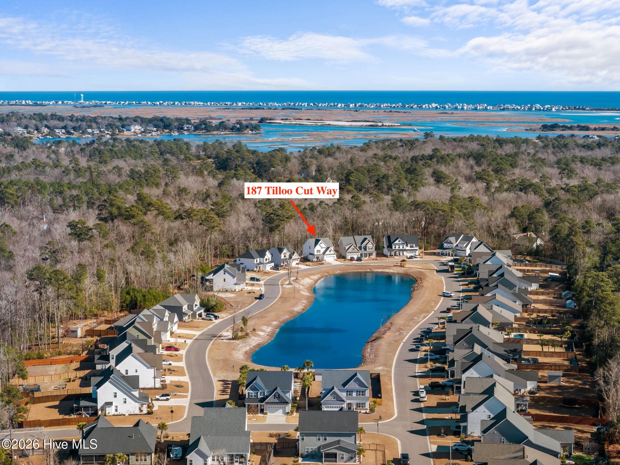 100552740 | Photo 59