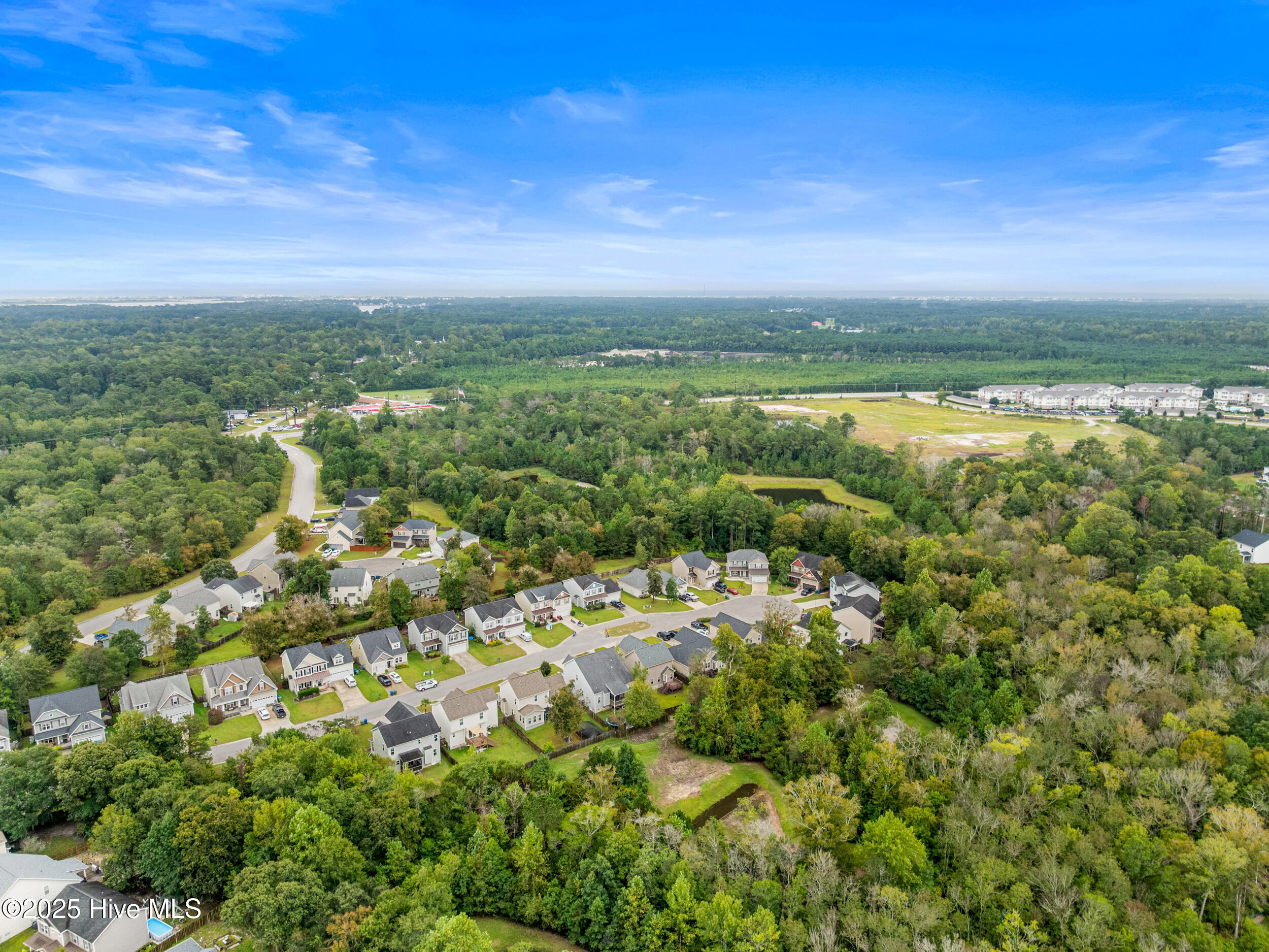 100533825 | Photo 52