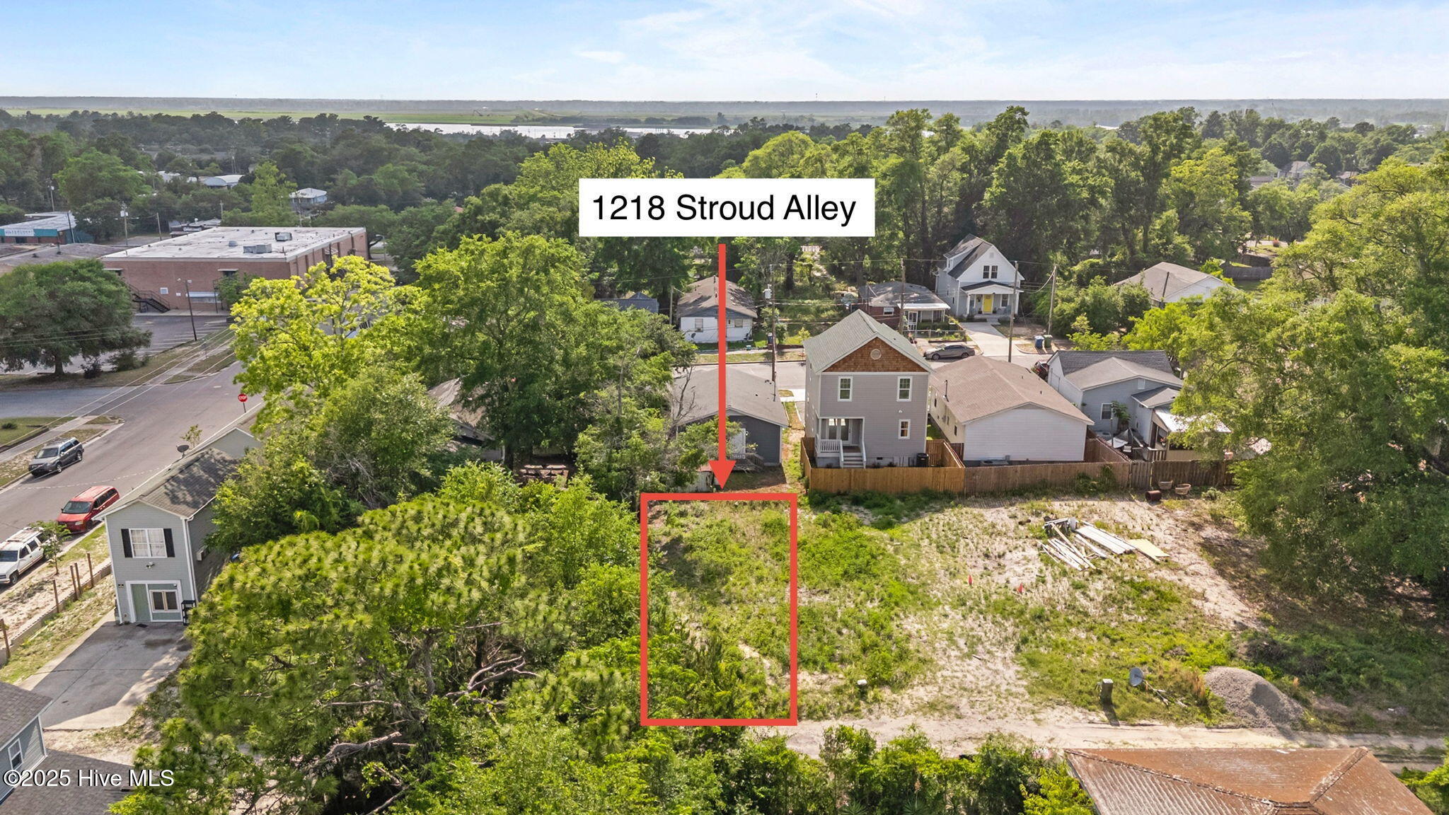 100509789 | Photo 23