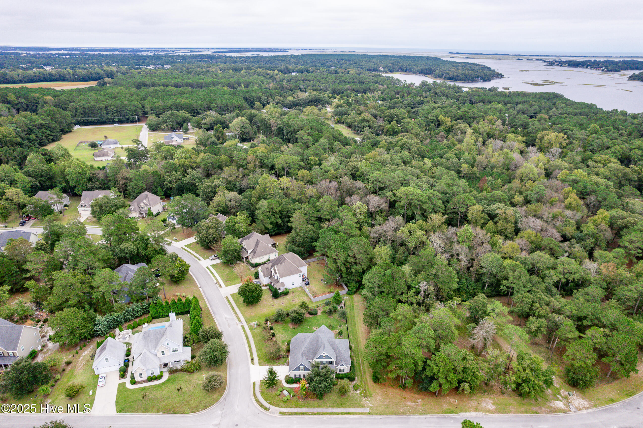 100534677 | Photo 57