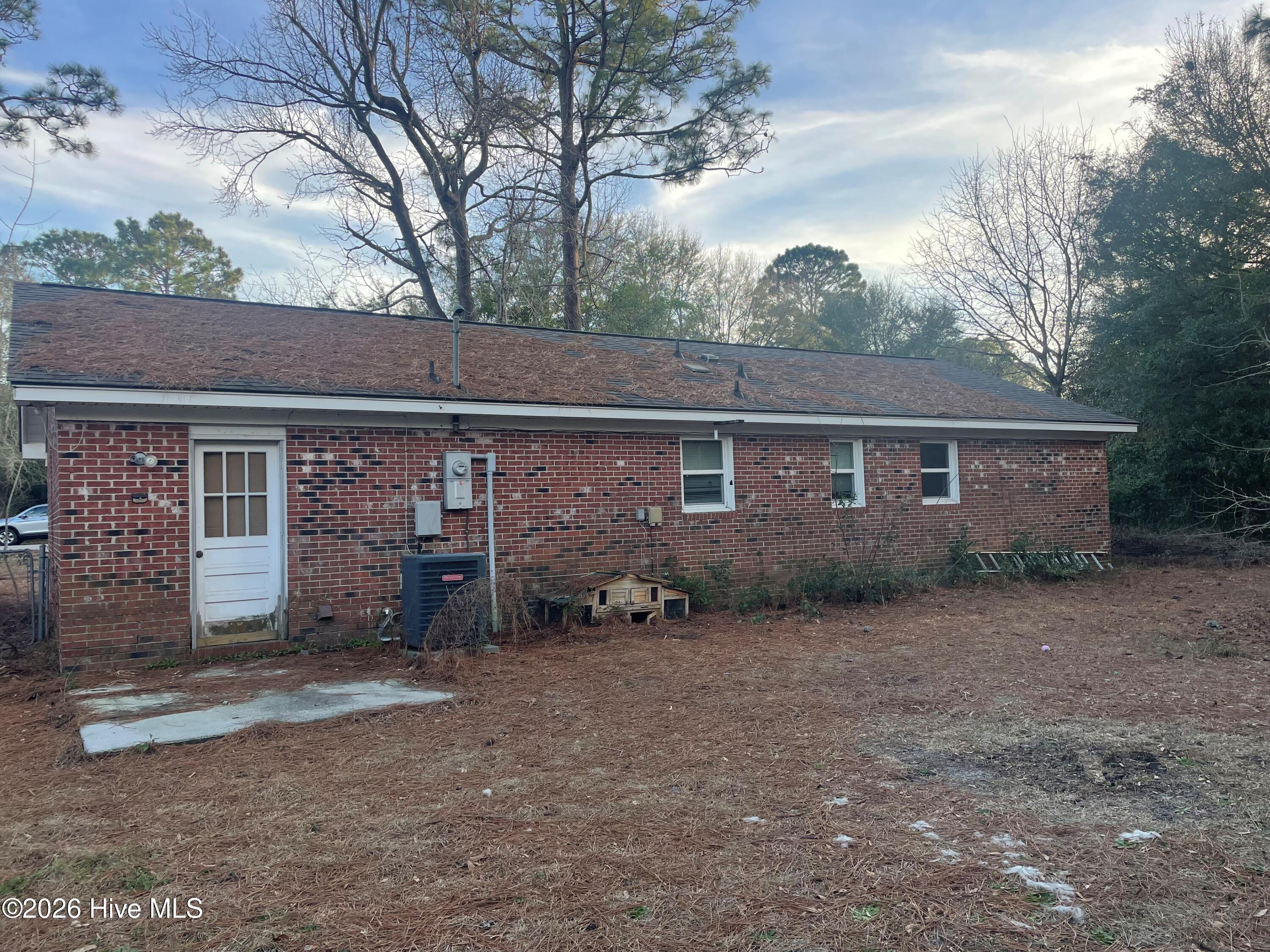 100558097 | Photo 10