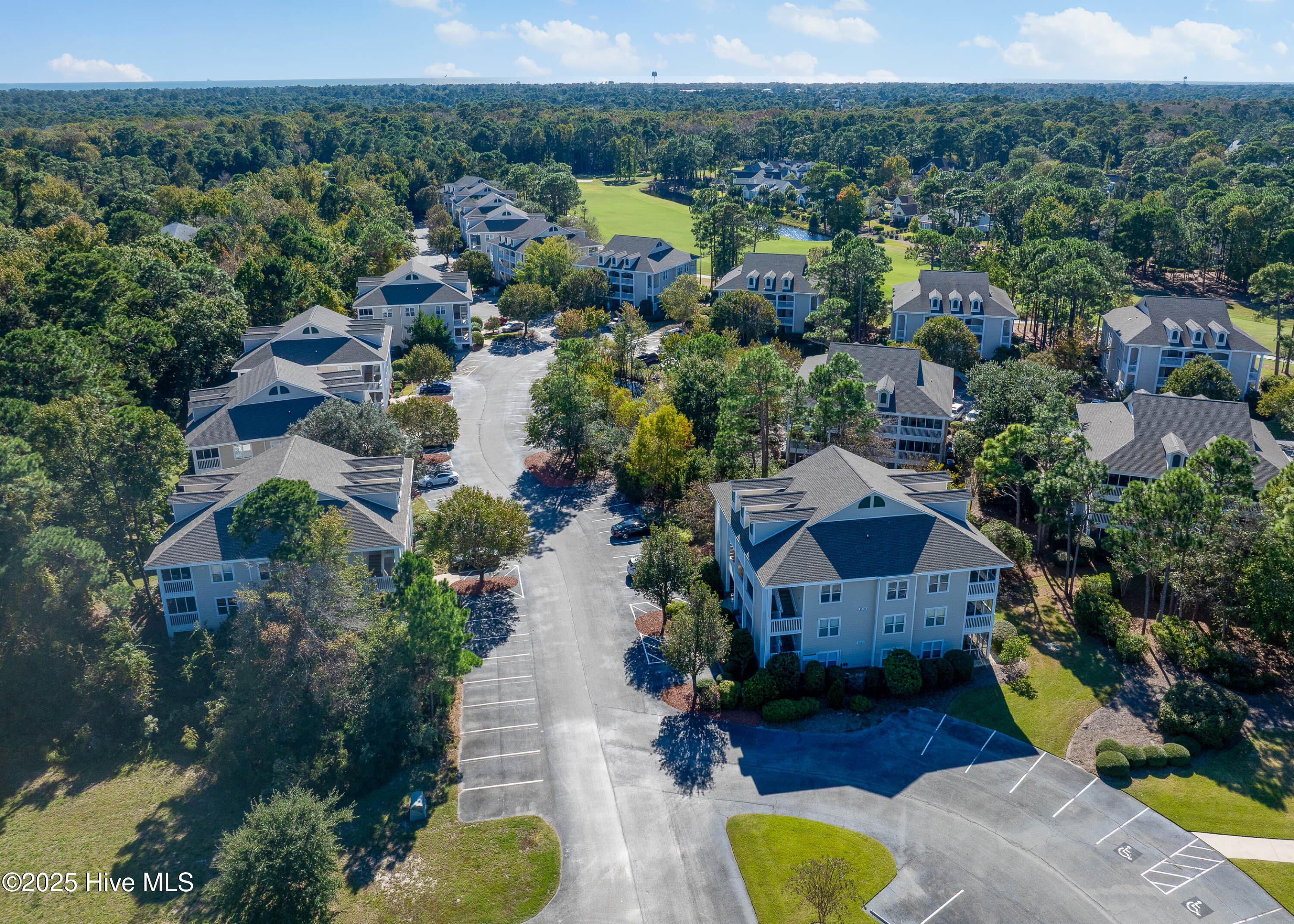 100524723 | Photo 27