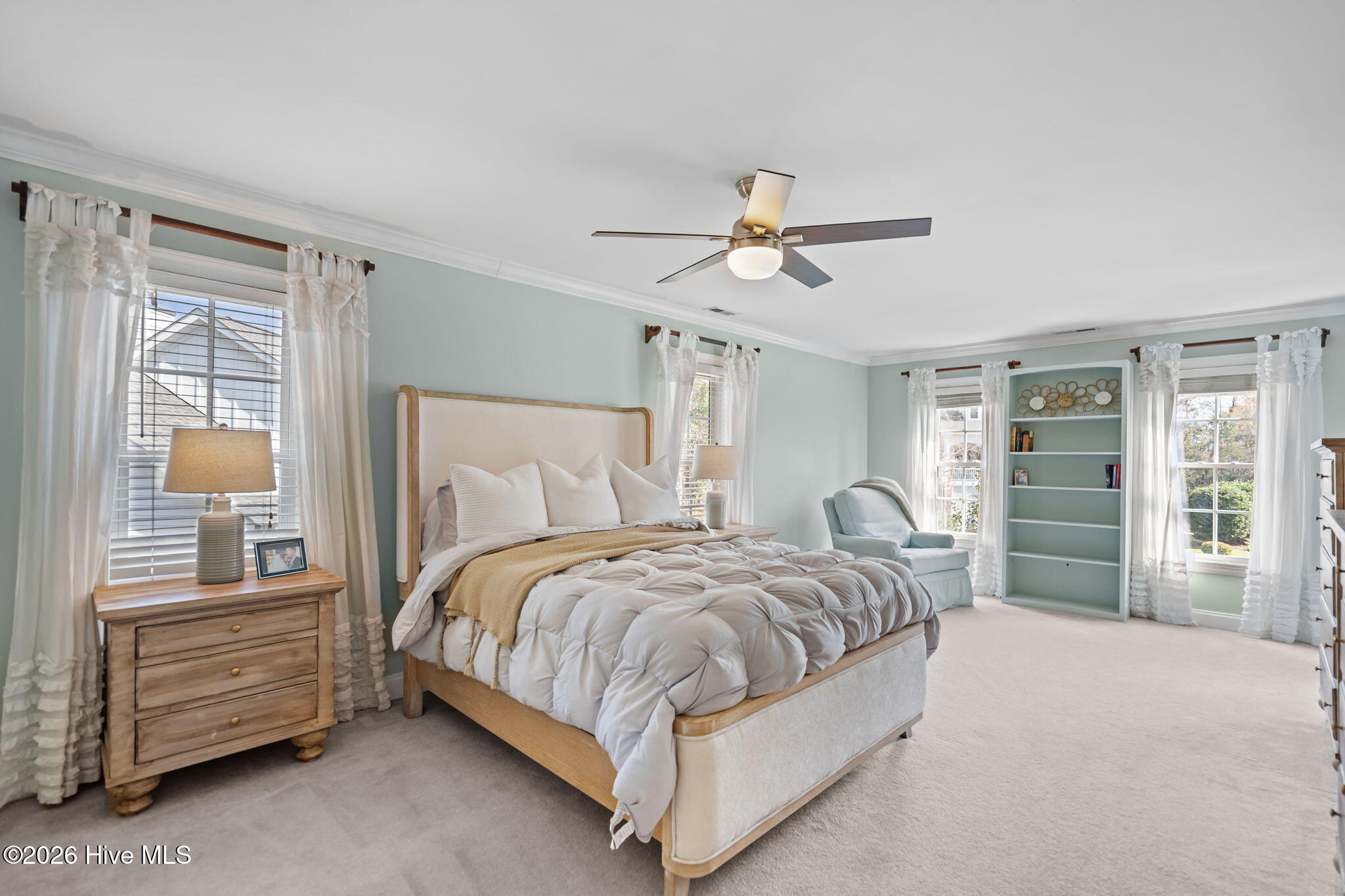 100558243 | Photo 32