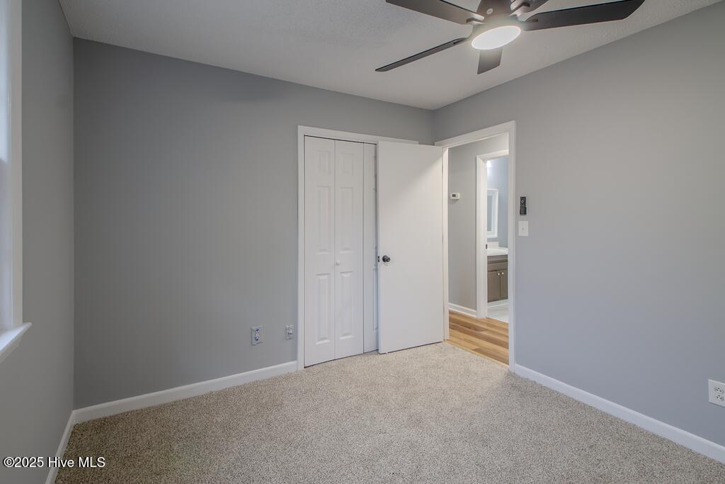 100543295 | Photo 15