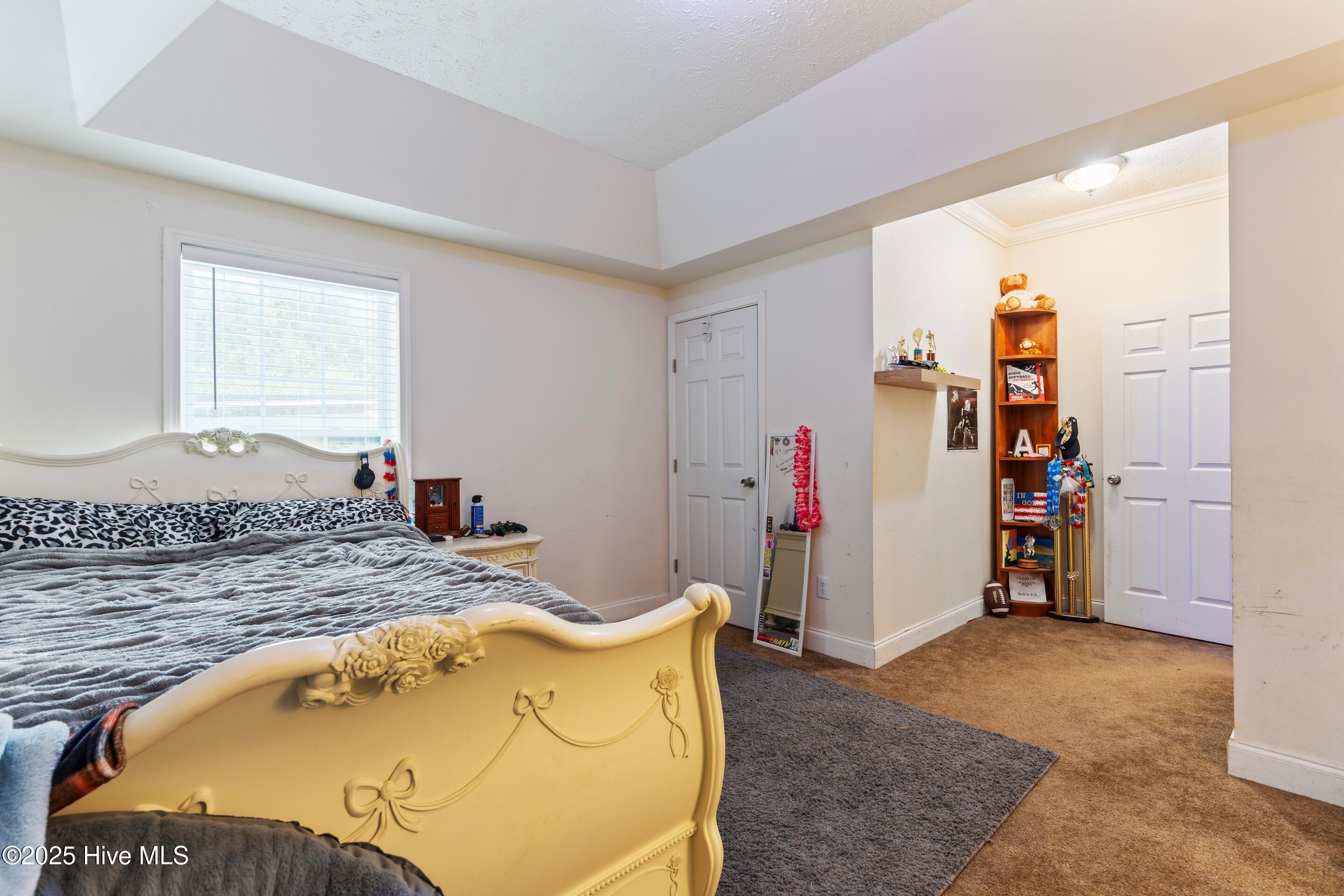 100537388 | Photo 43