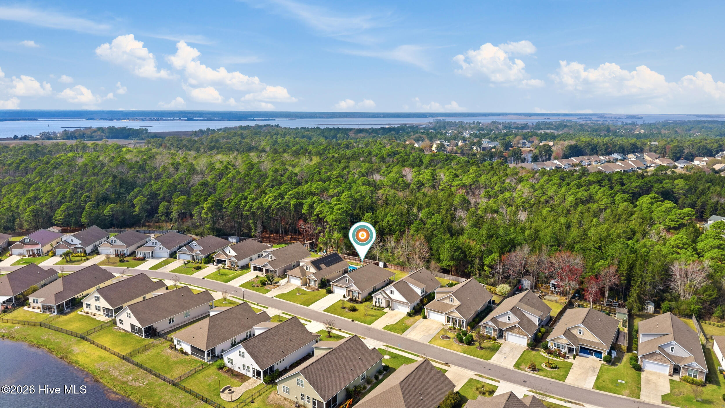 100557196 | Photo 35