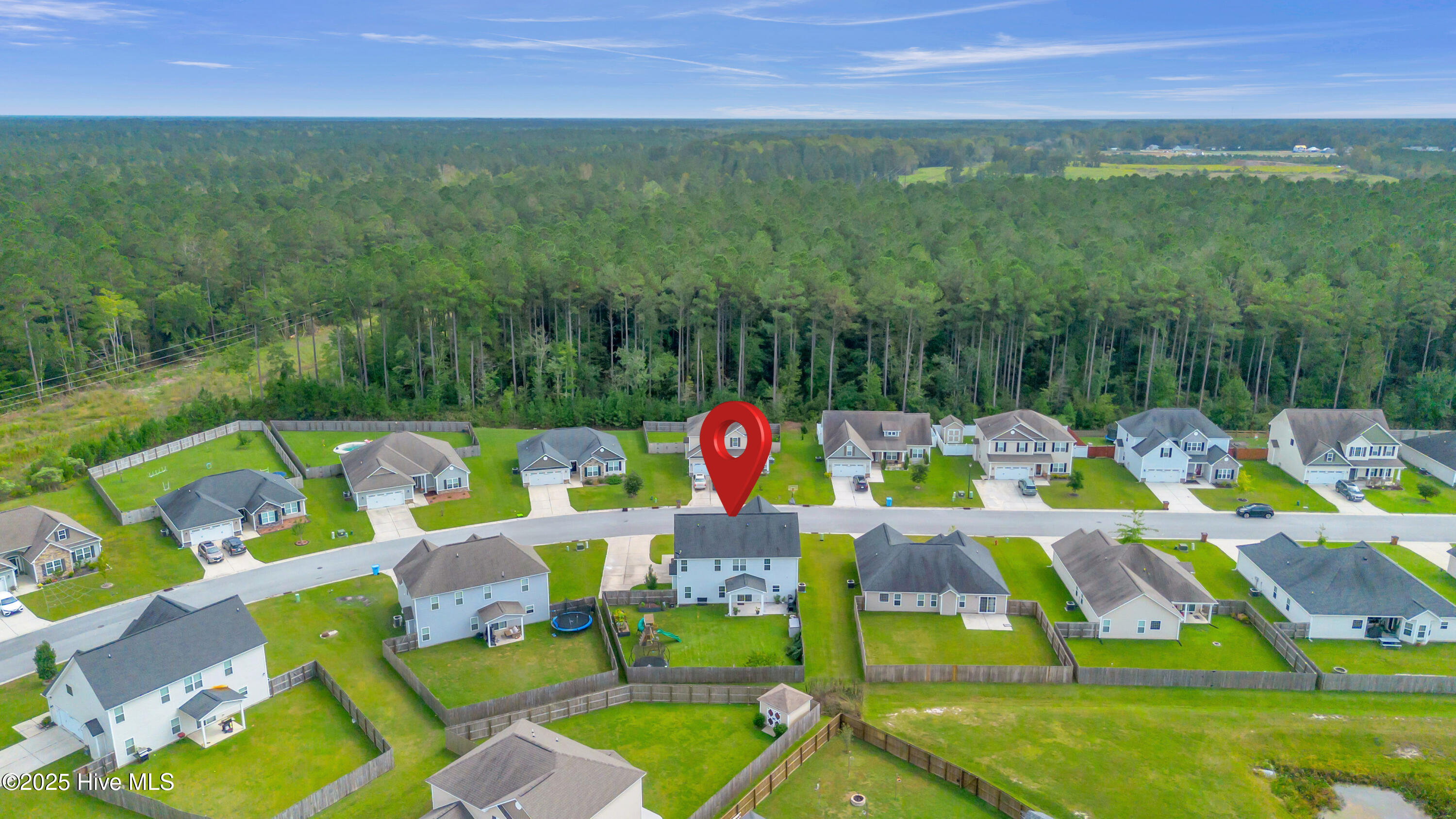 100534208 | Photo 44