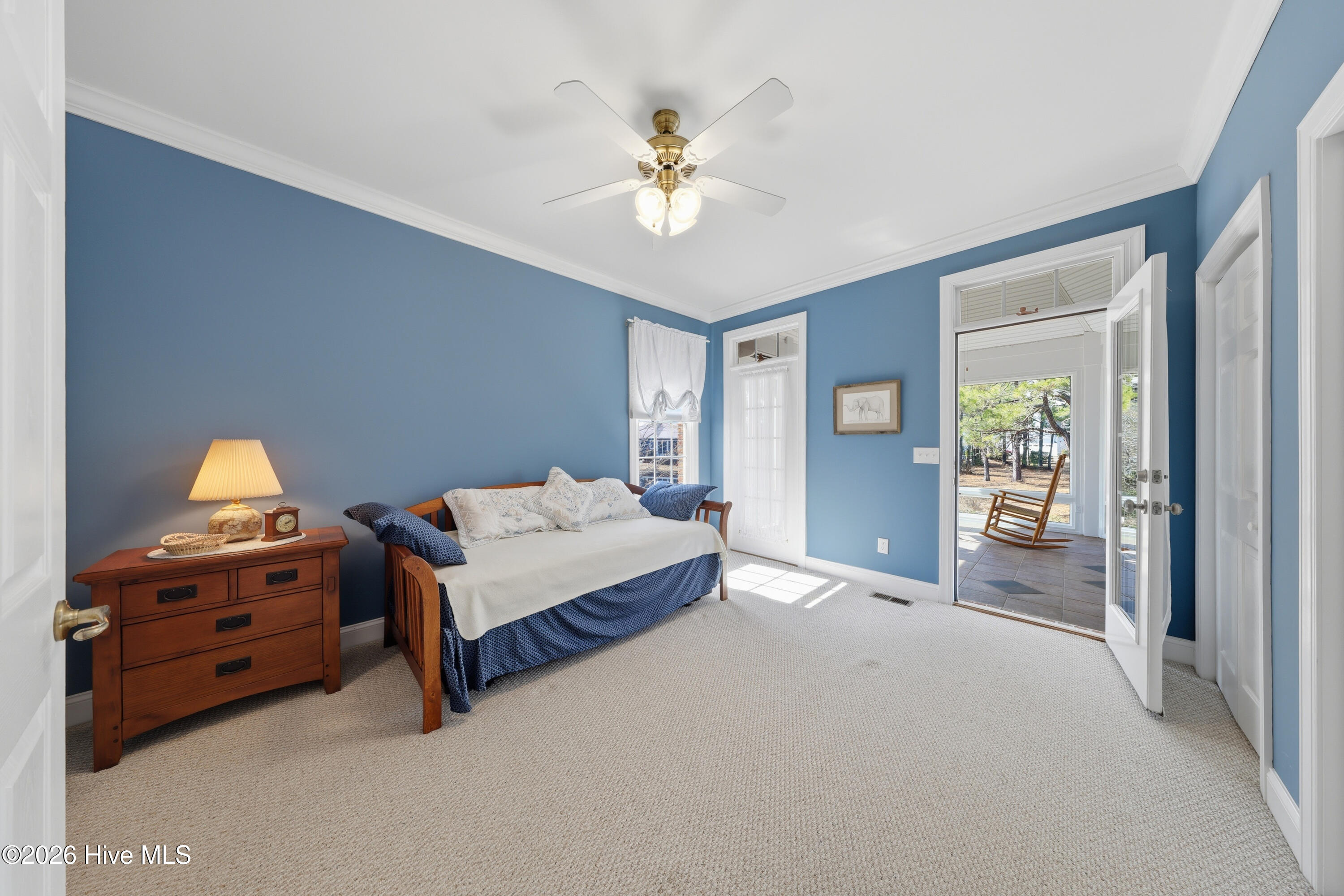 100558139 | Photo 33