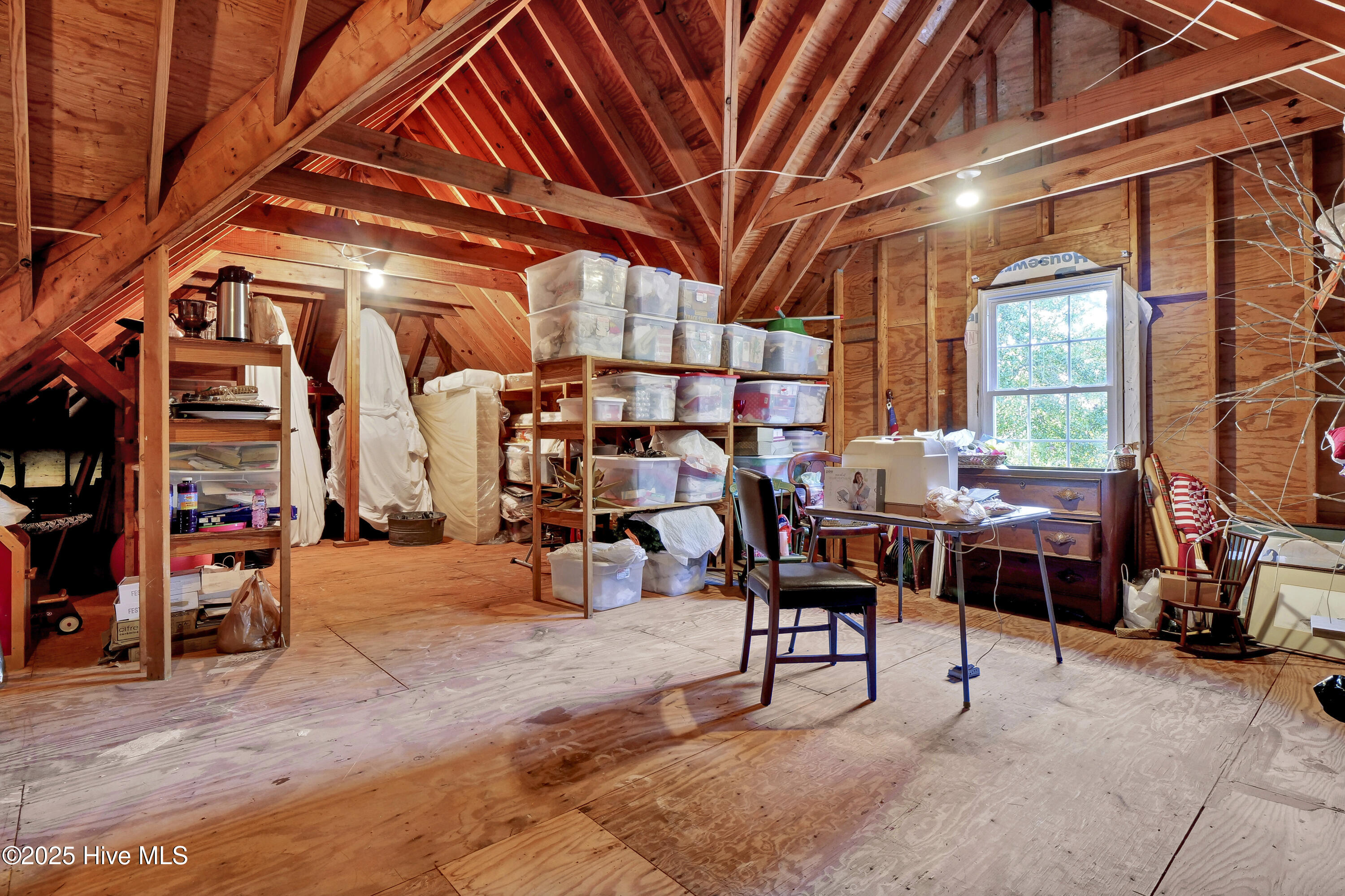 100541341 | Photo 58