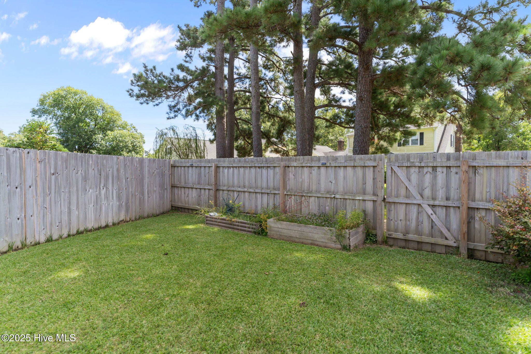 100528839 | Photo 53