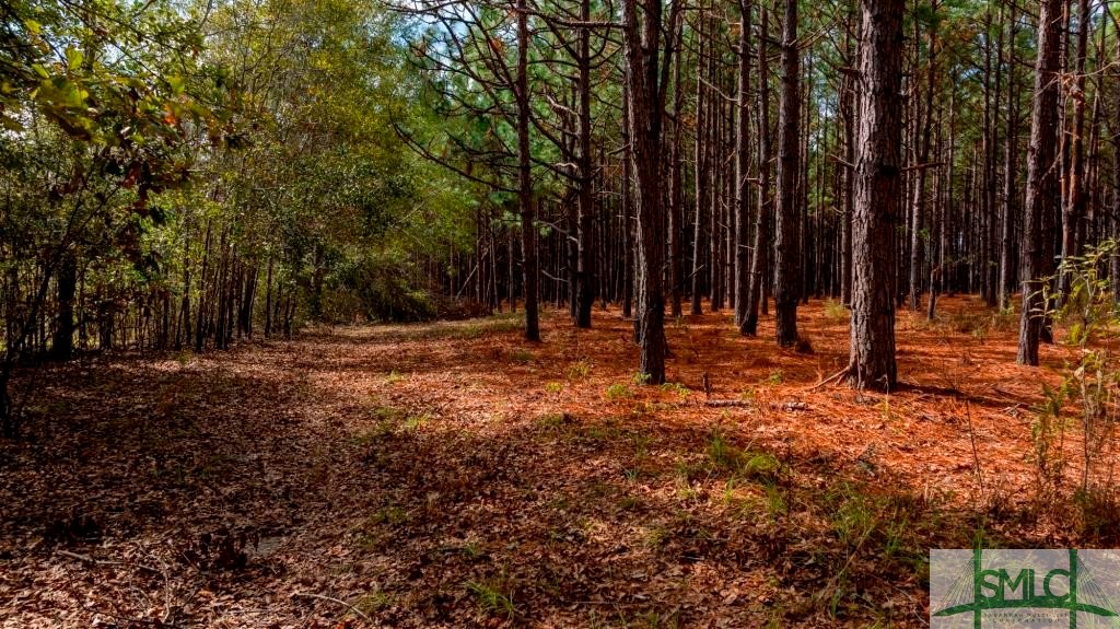 Undisclosed Address, Sylvania, GA, 30467