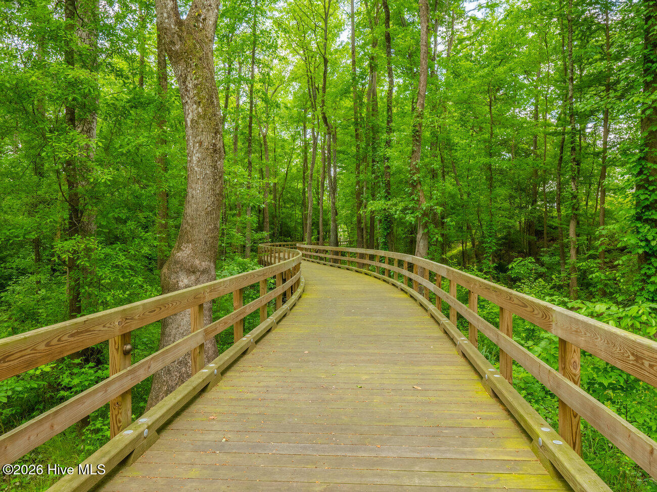 100567855 | Photo 93