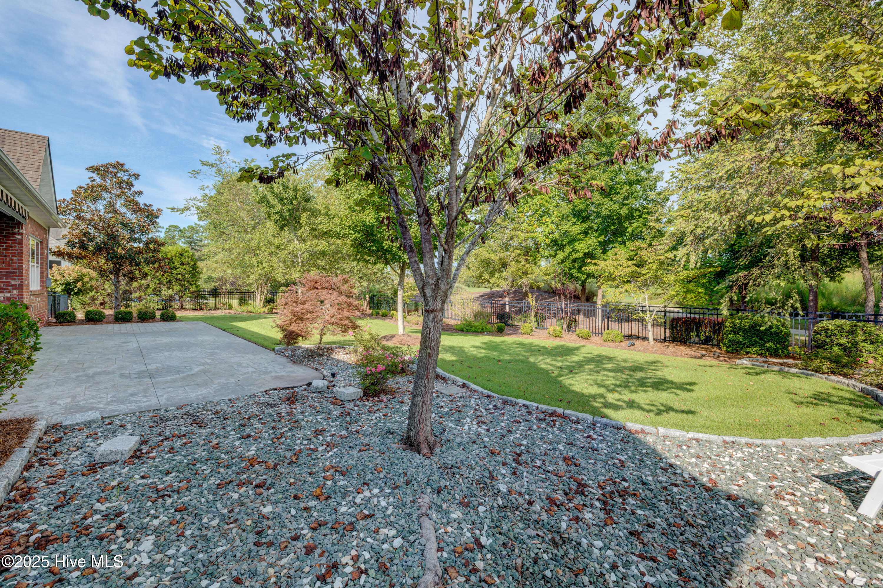 100527898 | Photo 72