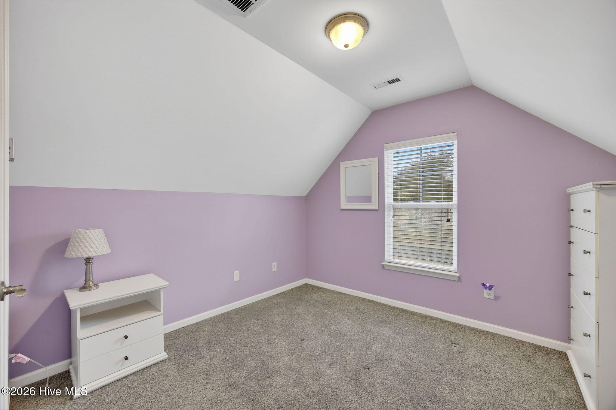 100557620 | Photo 24