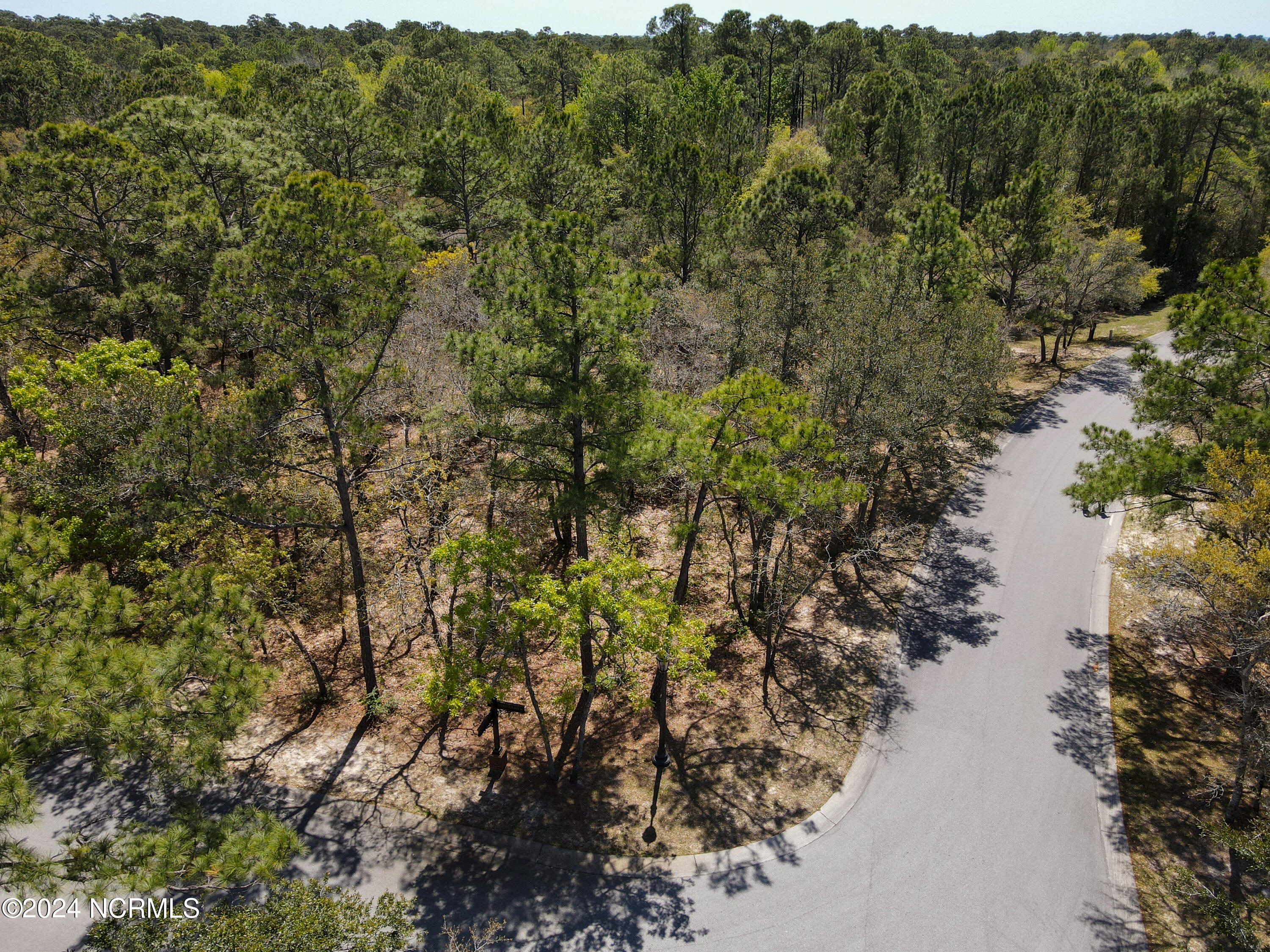 100437832 | Photo 15