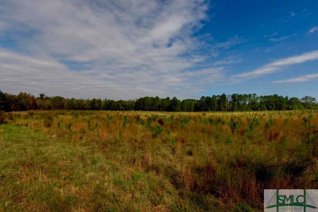 Undisclosed Address, Sylvania, GA, 30467