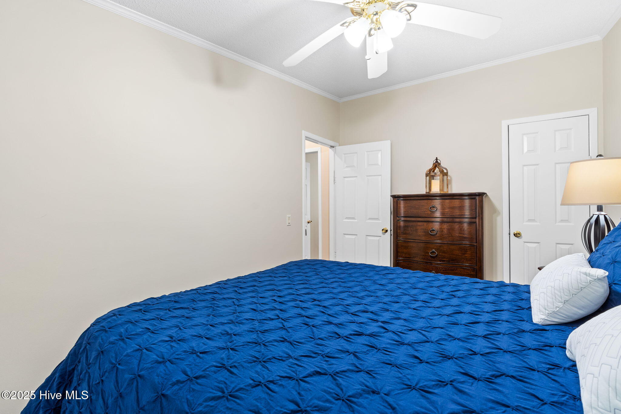 100515279 | Photo 35