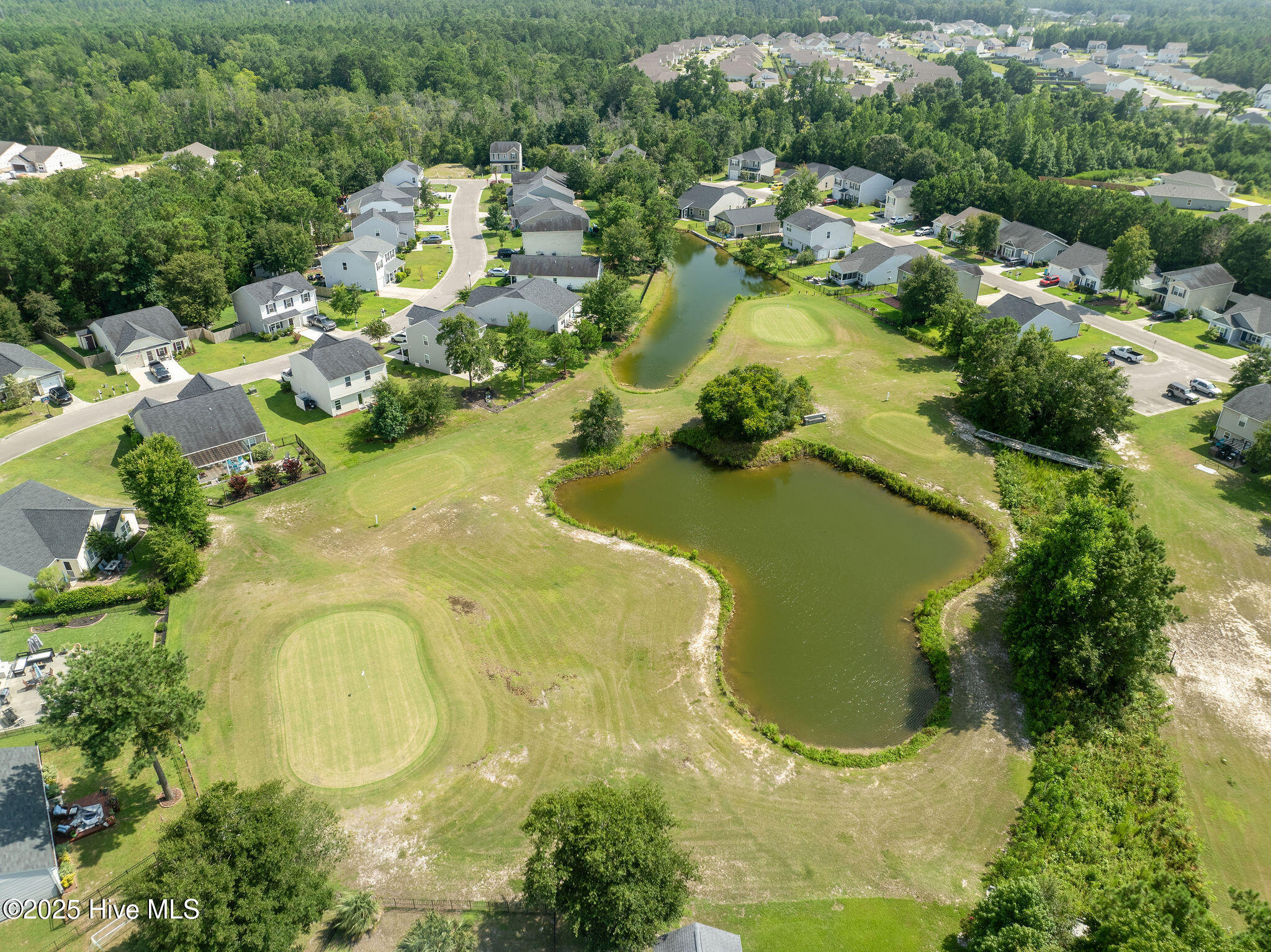 100539651 | Photo 65