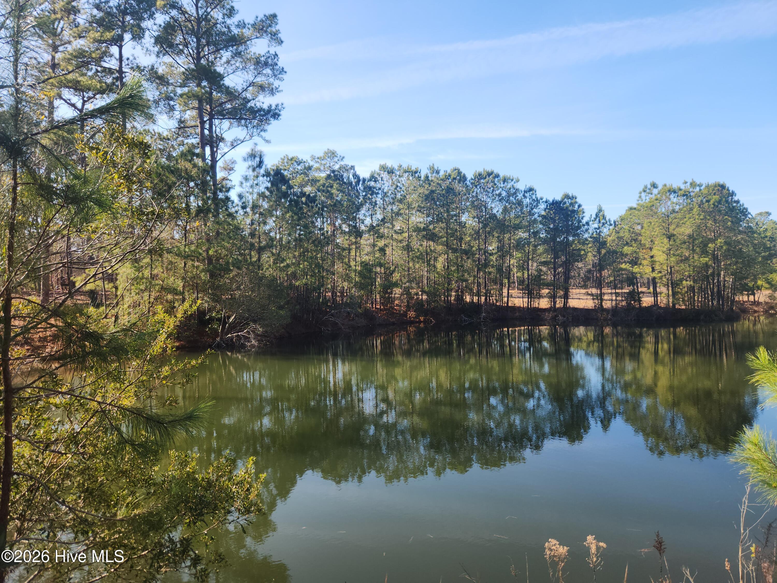 100547774 | Photo 10