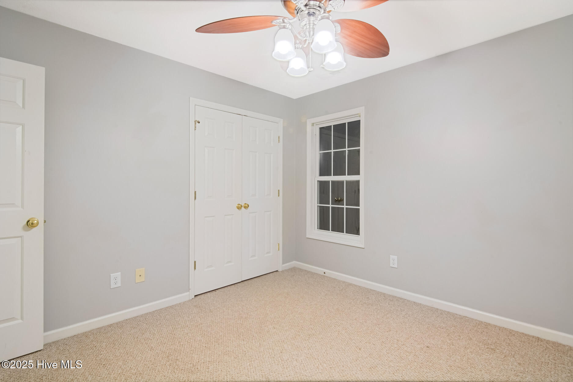 100539589 | Photo 20