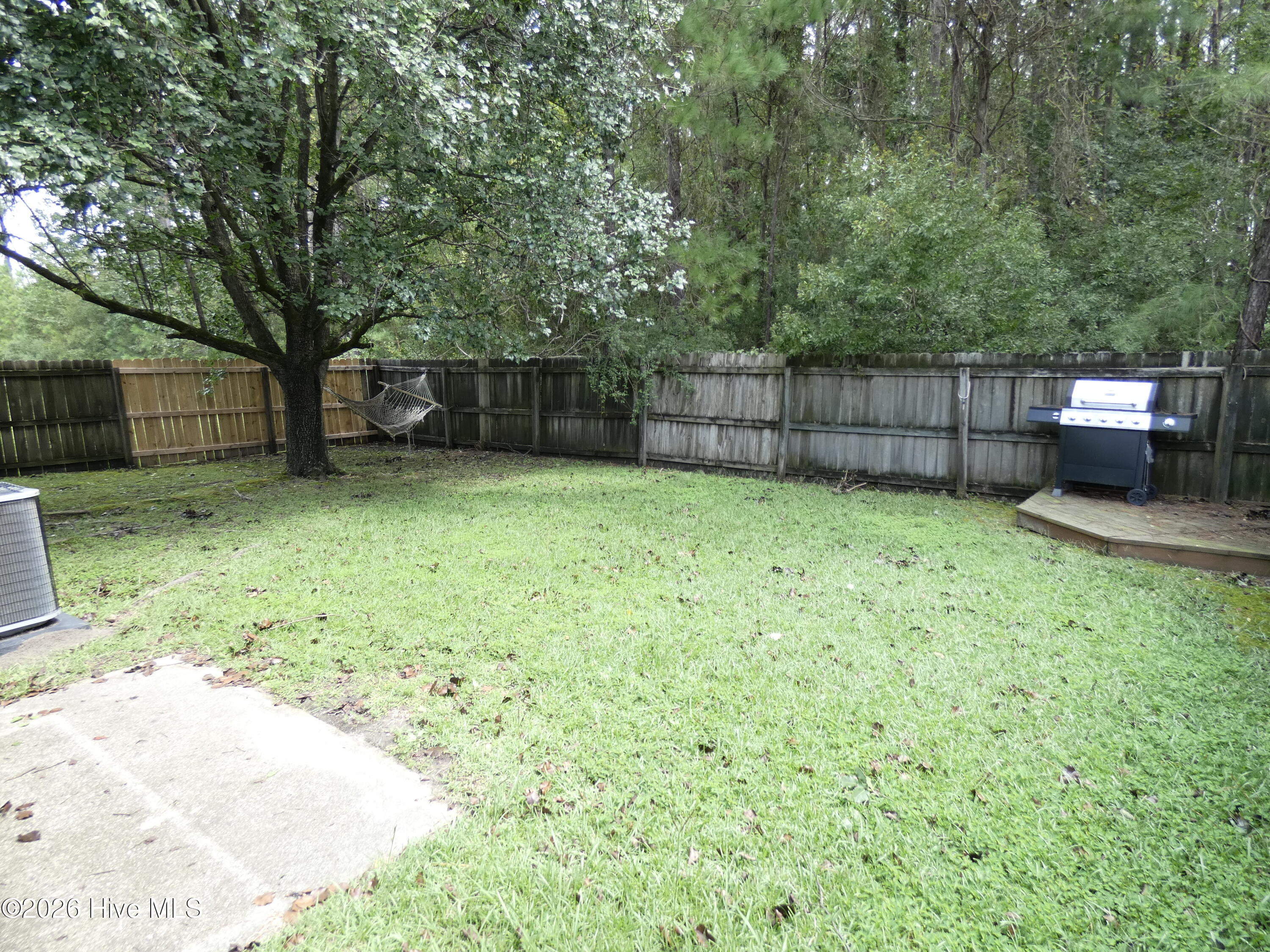 100564573 | Photo 19