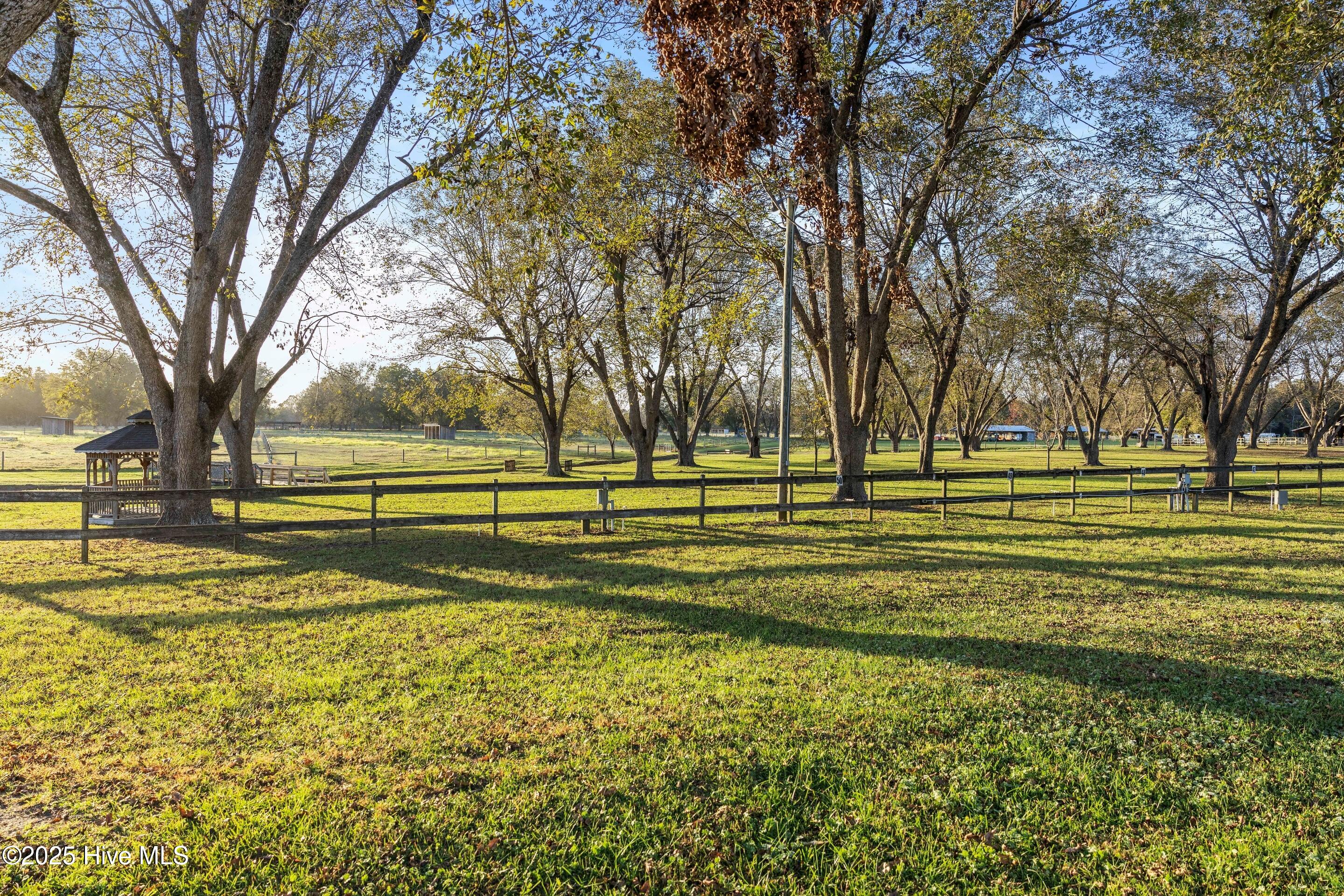 100510078 | Photo 55