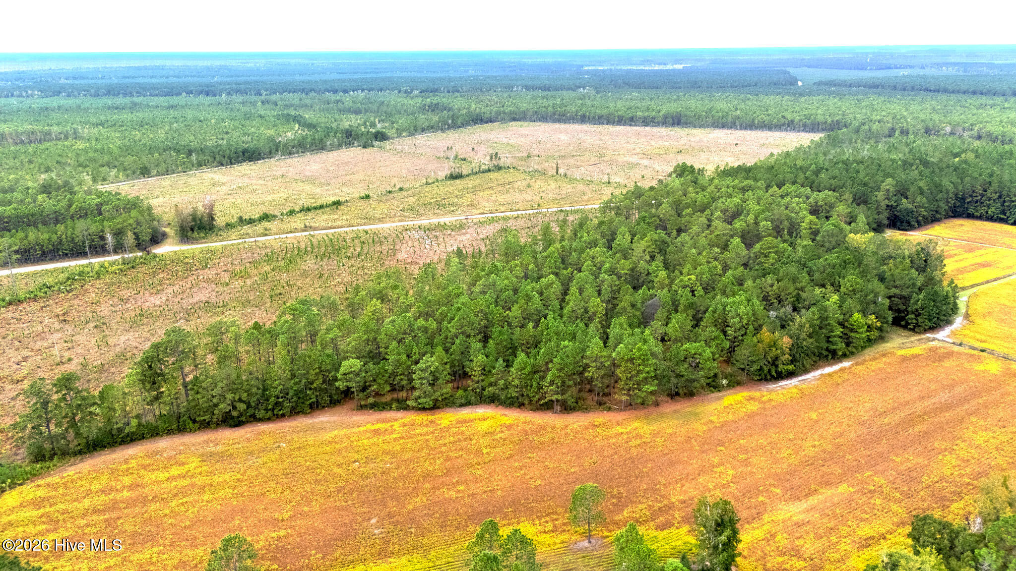 10.57 Ac Egypt Road NW, Ash, NC, 28420