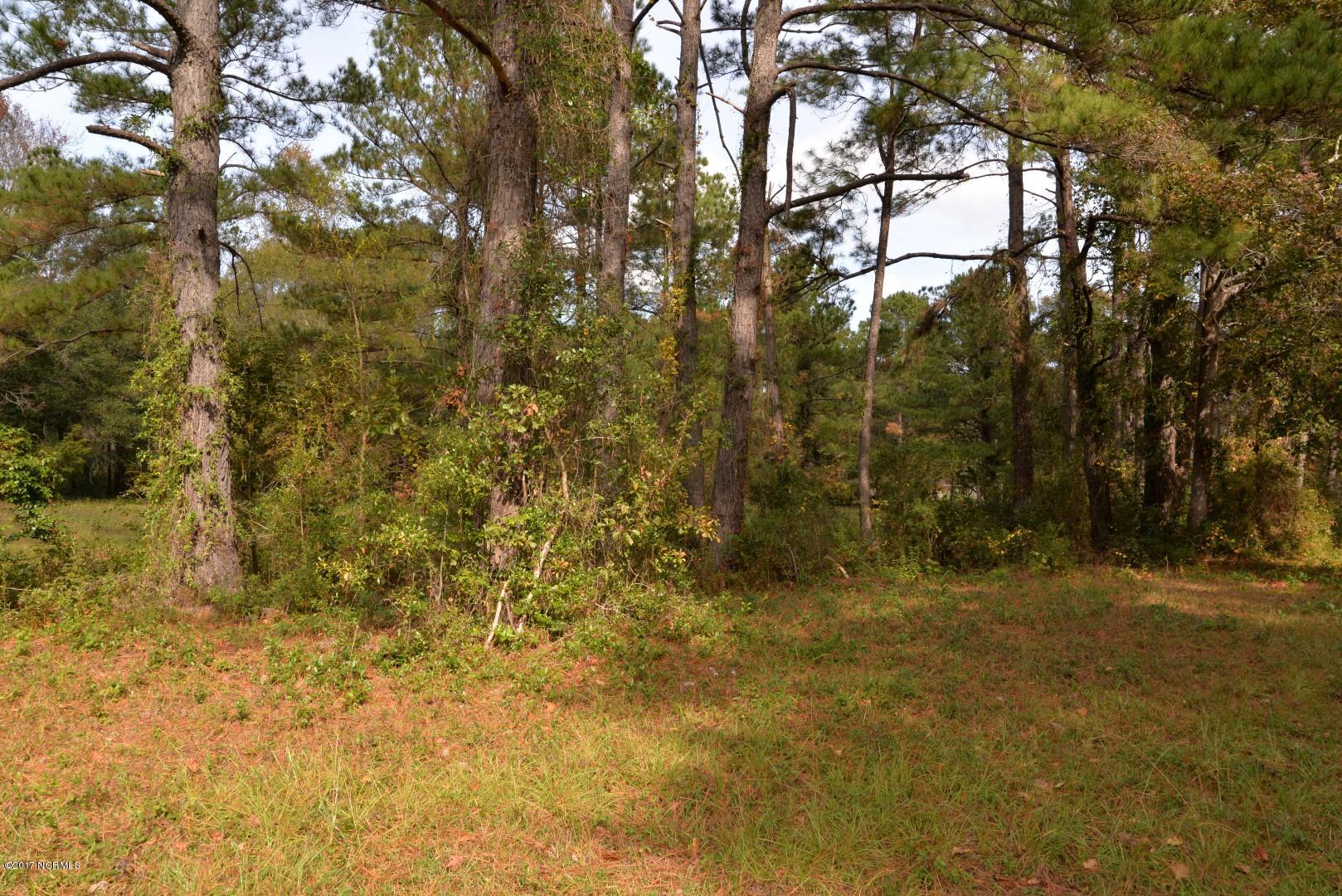 100492321 | Photo 14