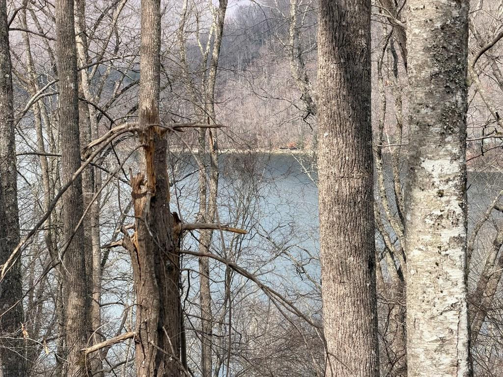 Homes for sale in Nantahala, NC | Lot 12 Lake Vista Cir, Nantahala, NC 28781 | MLS# 98500294
