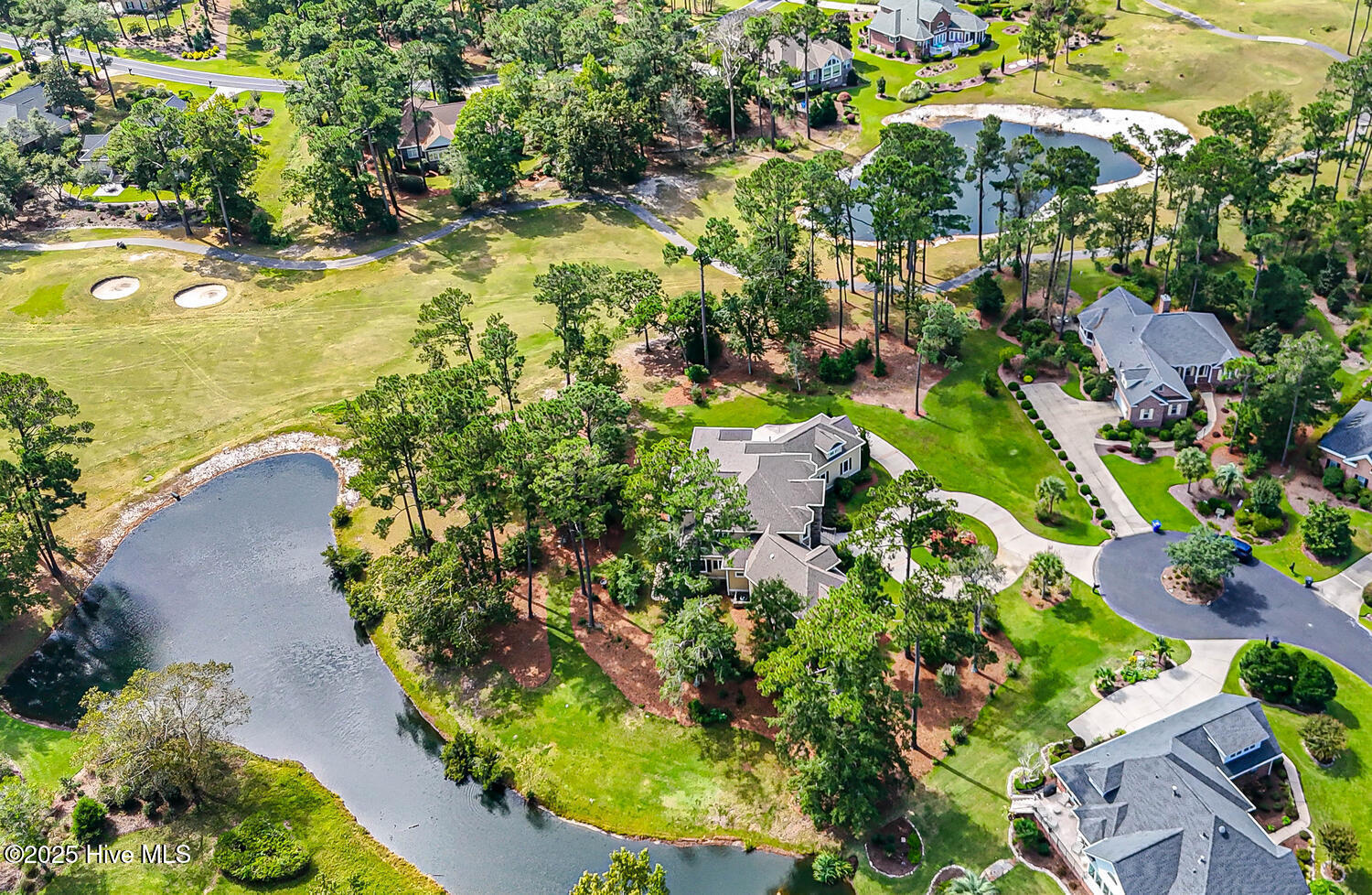 100534571 | Photo 117