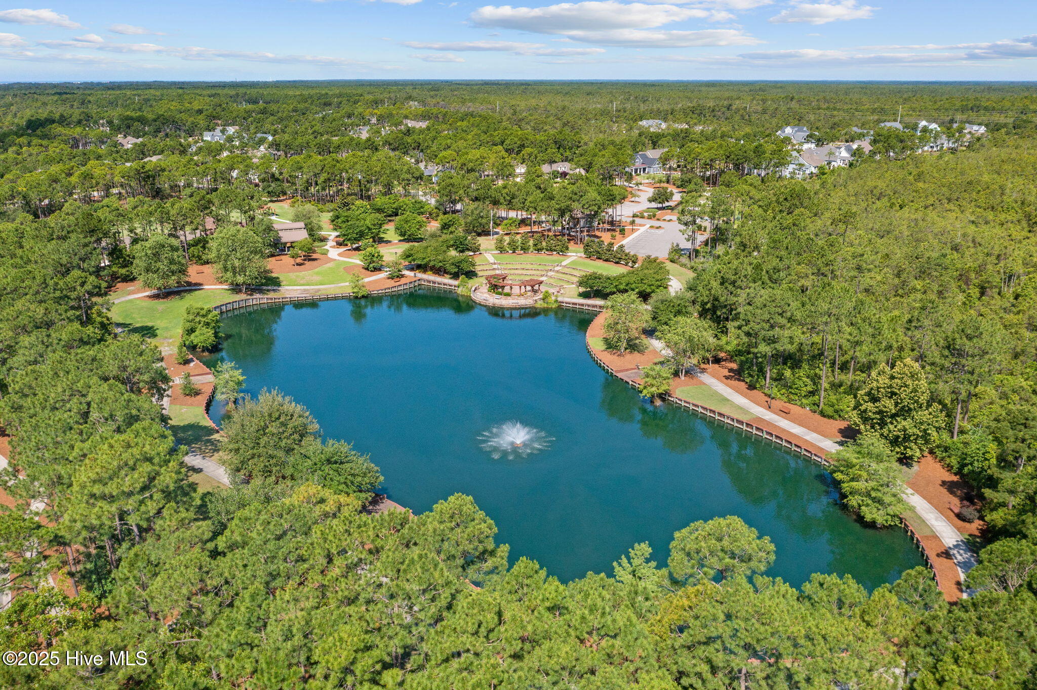 100536215 | Photo 69