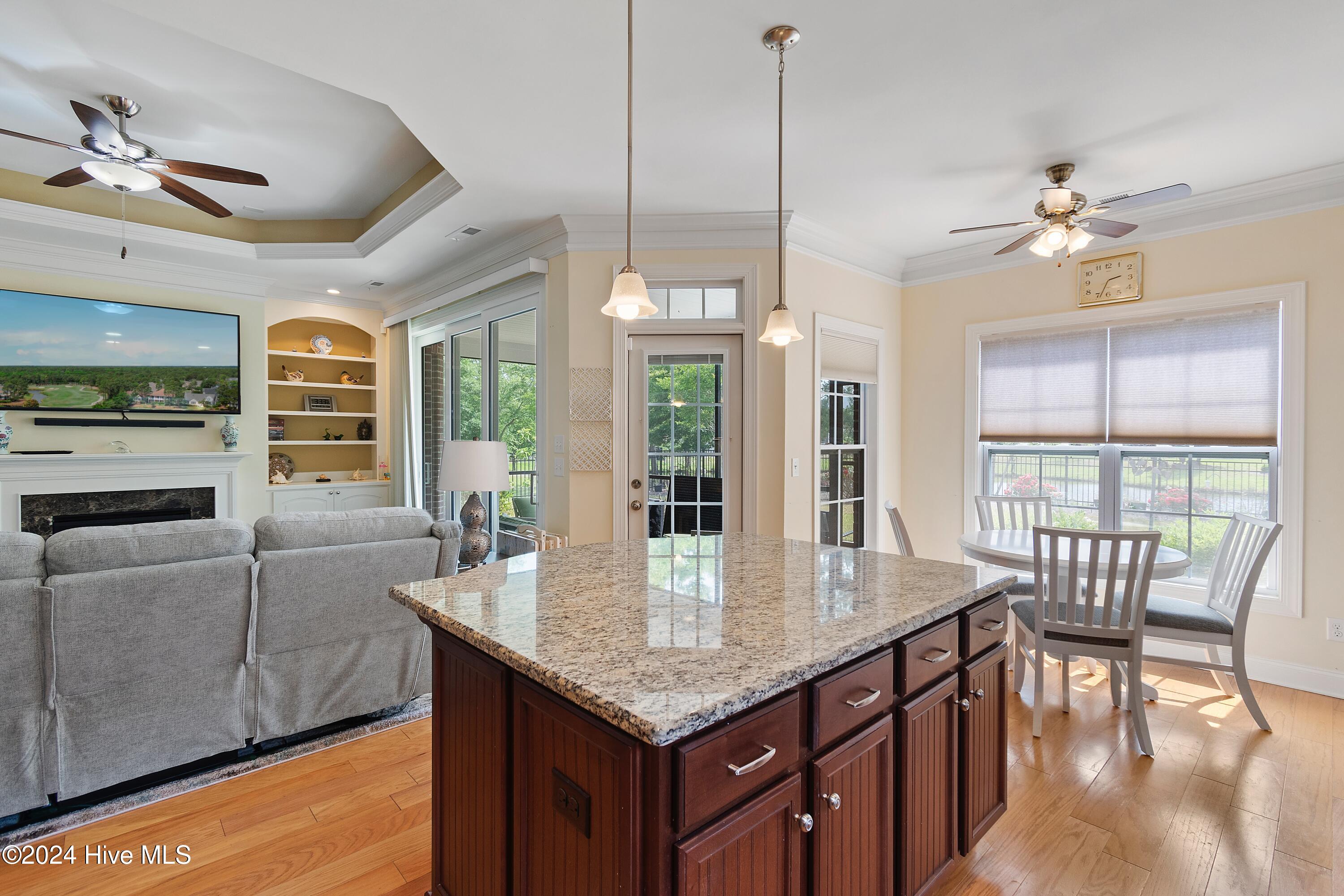 100540669 | Photo 16