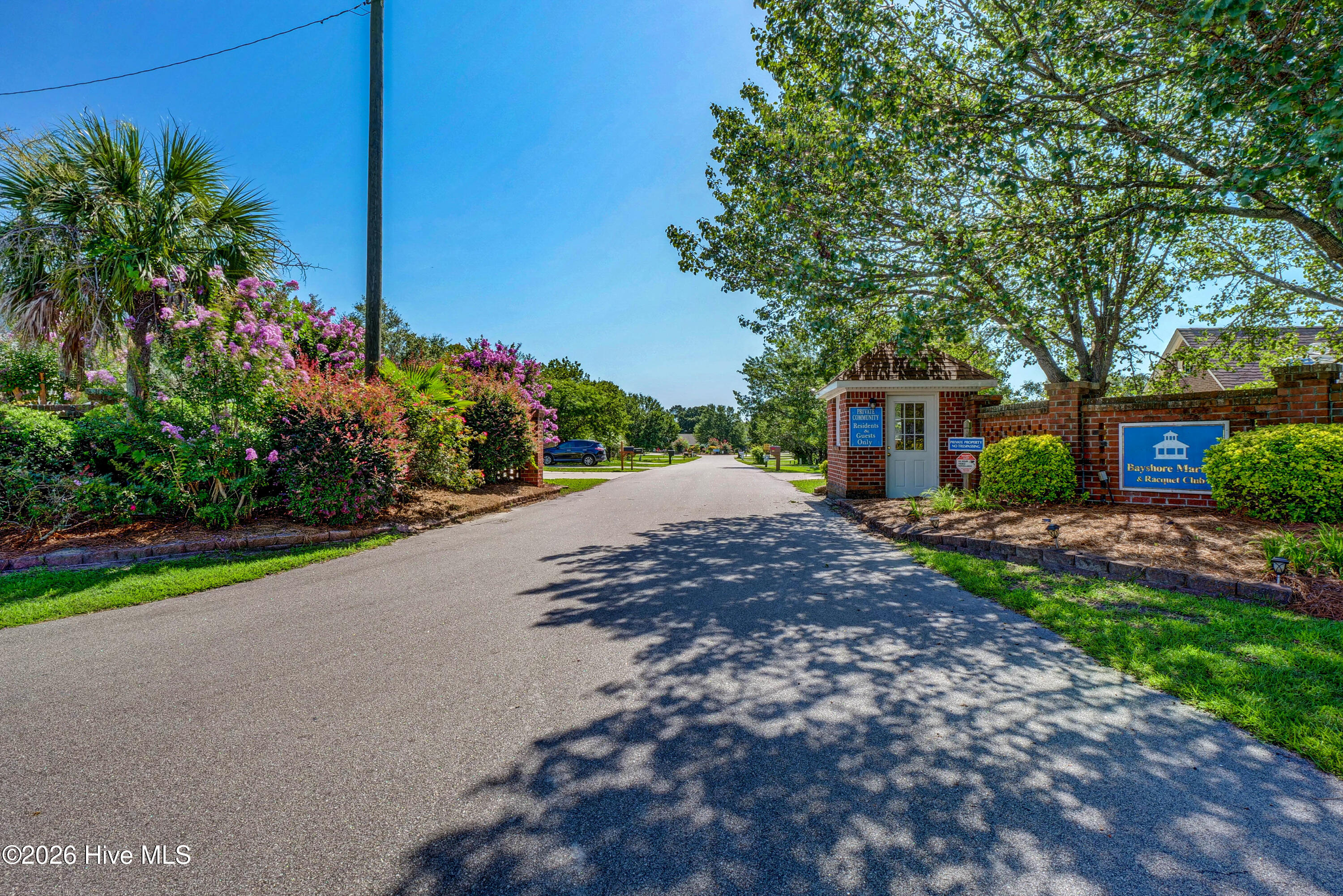 100559000 | Photo 36