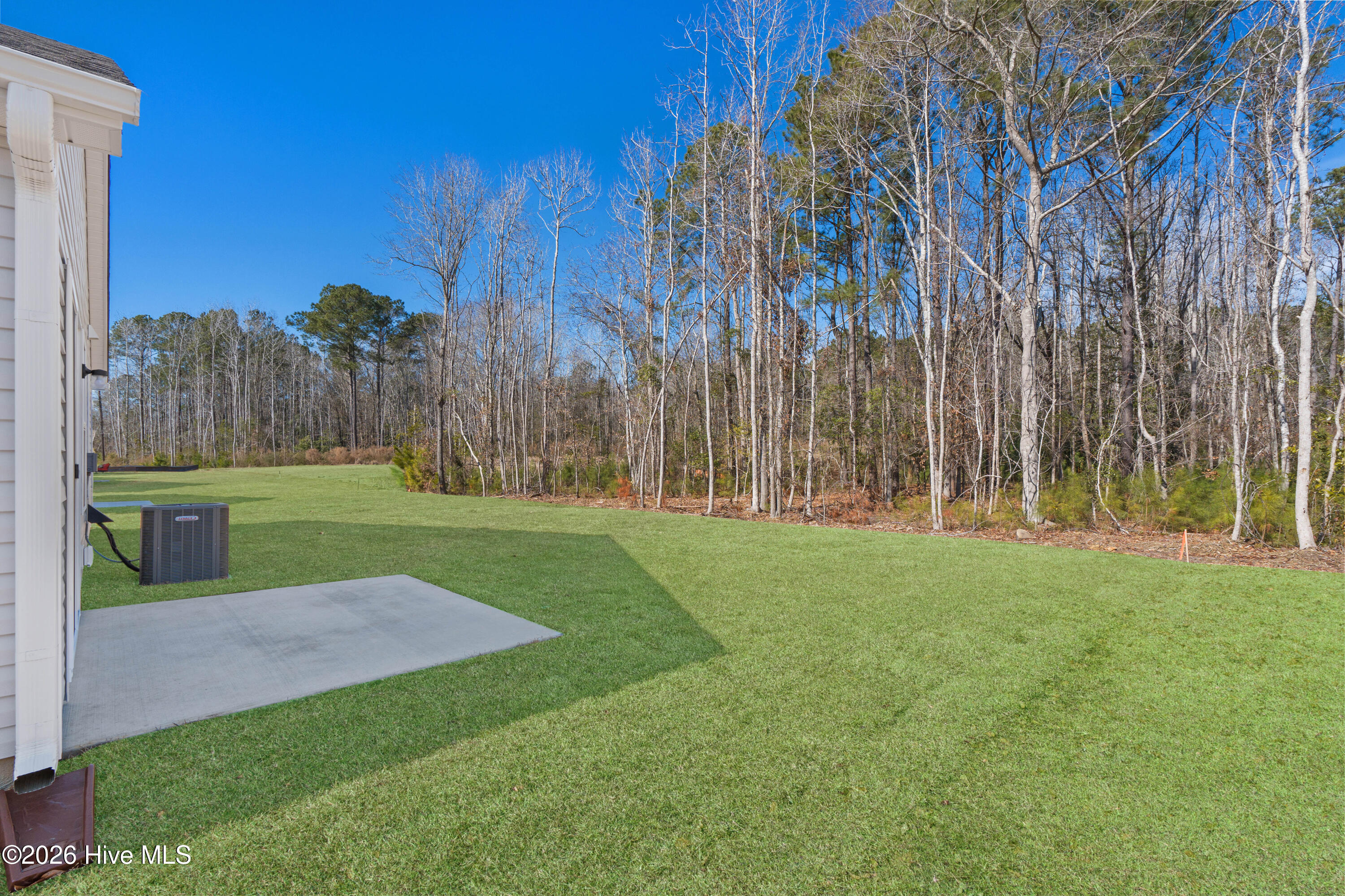 100552114 | Photo 37