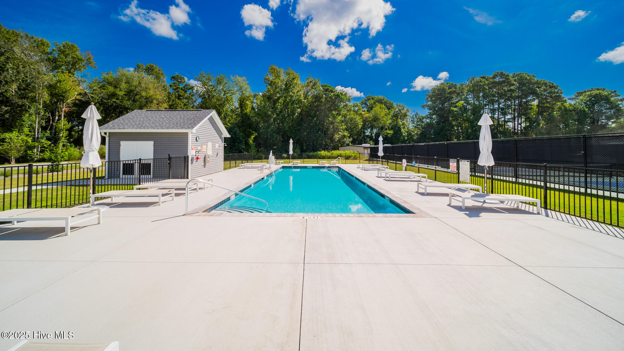 100532621 | Photo 33