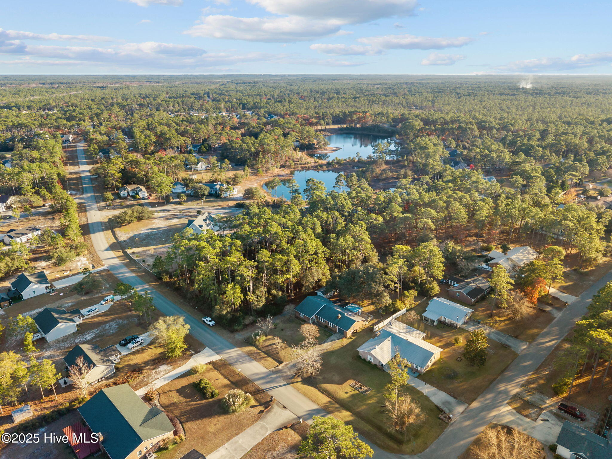 100545150 | Photo 47