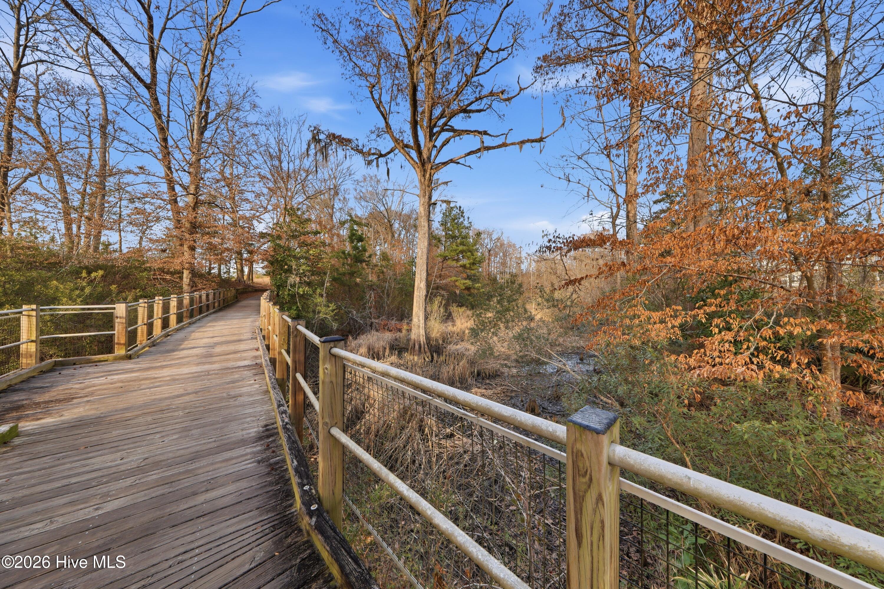 100558541 | Photo 82