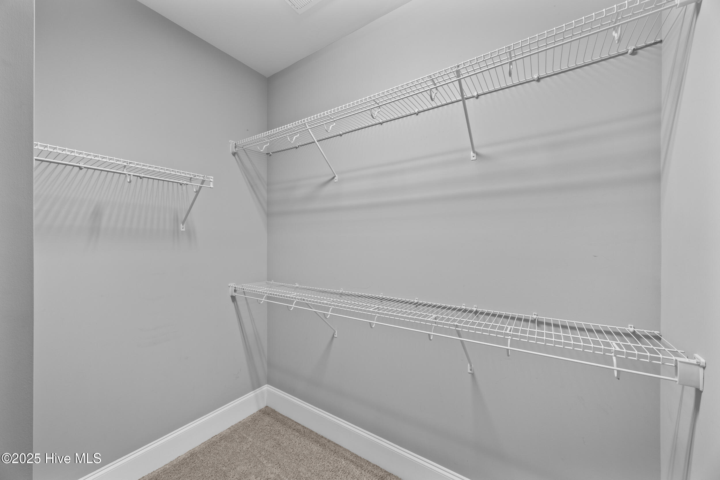 100538998 | Photo 34