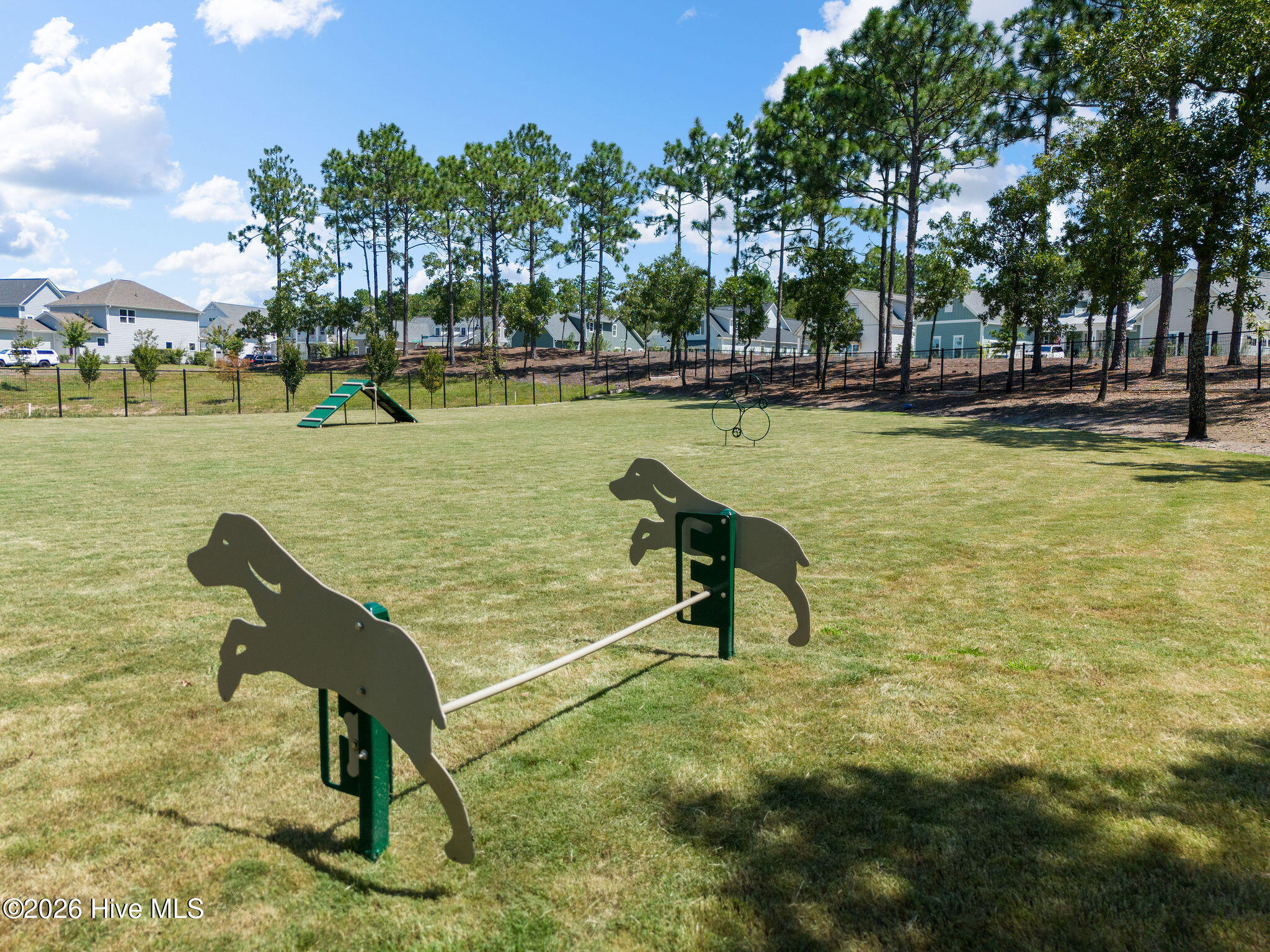 100558751 | Photo 55