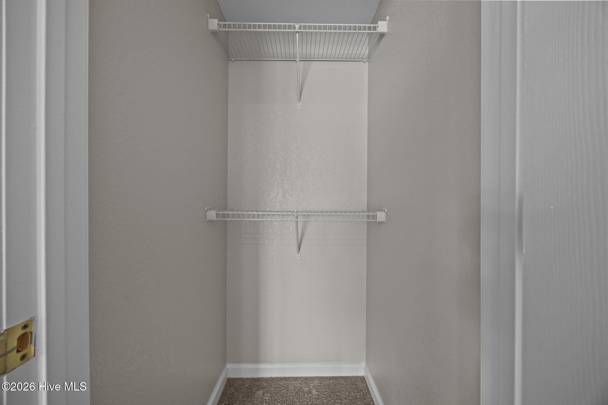 100553167 | Photo 30