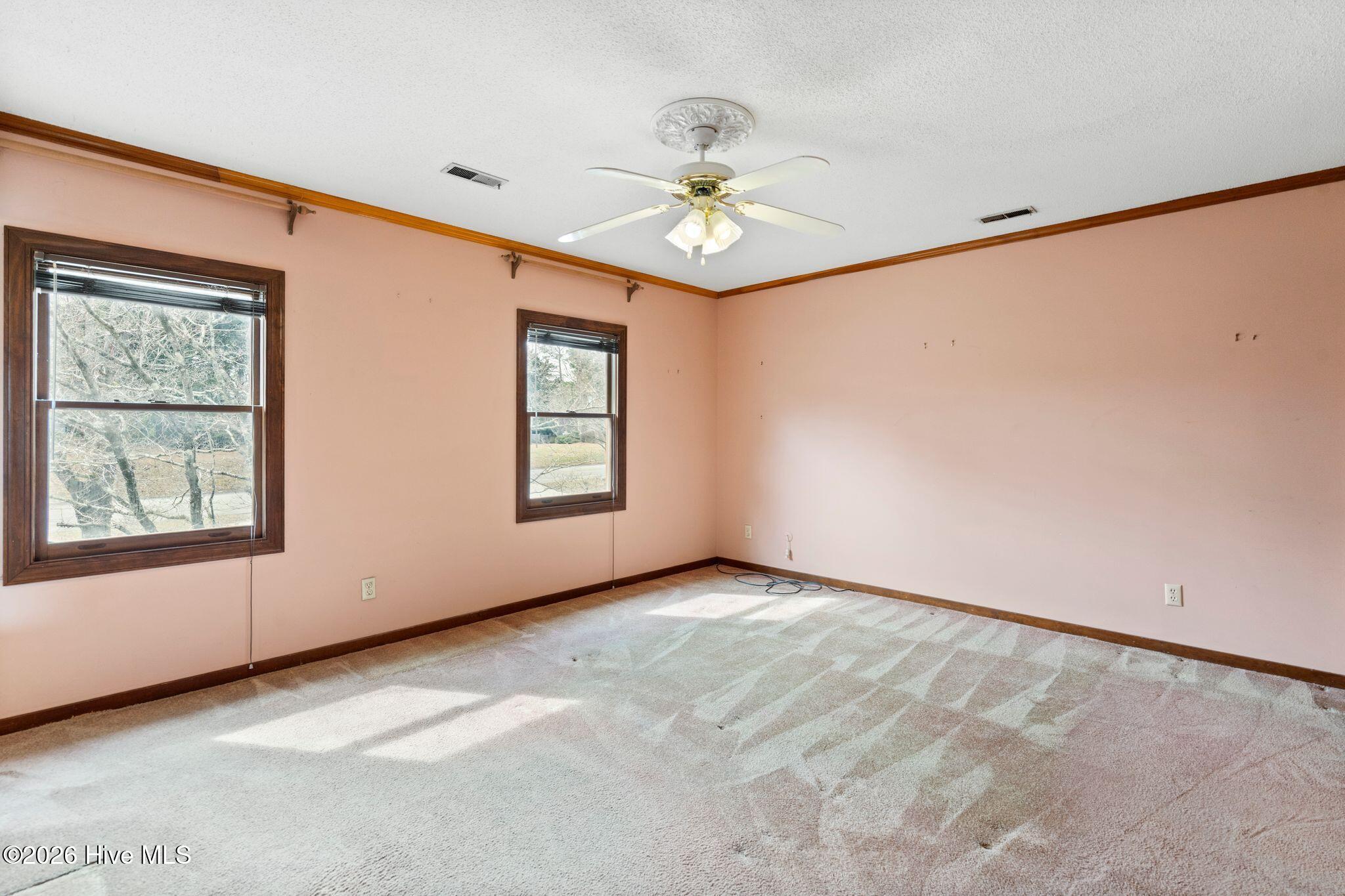 100555910 | Photo 35