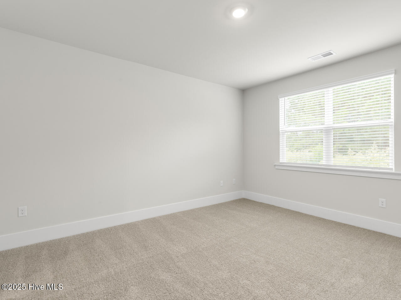 100566279 | Photo 17