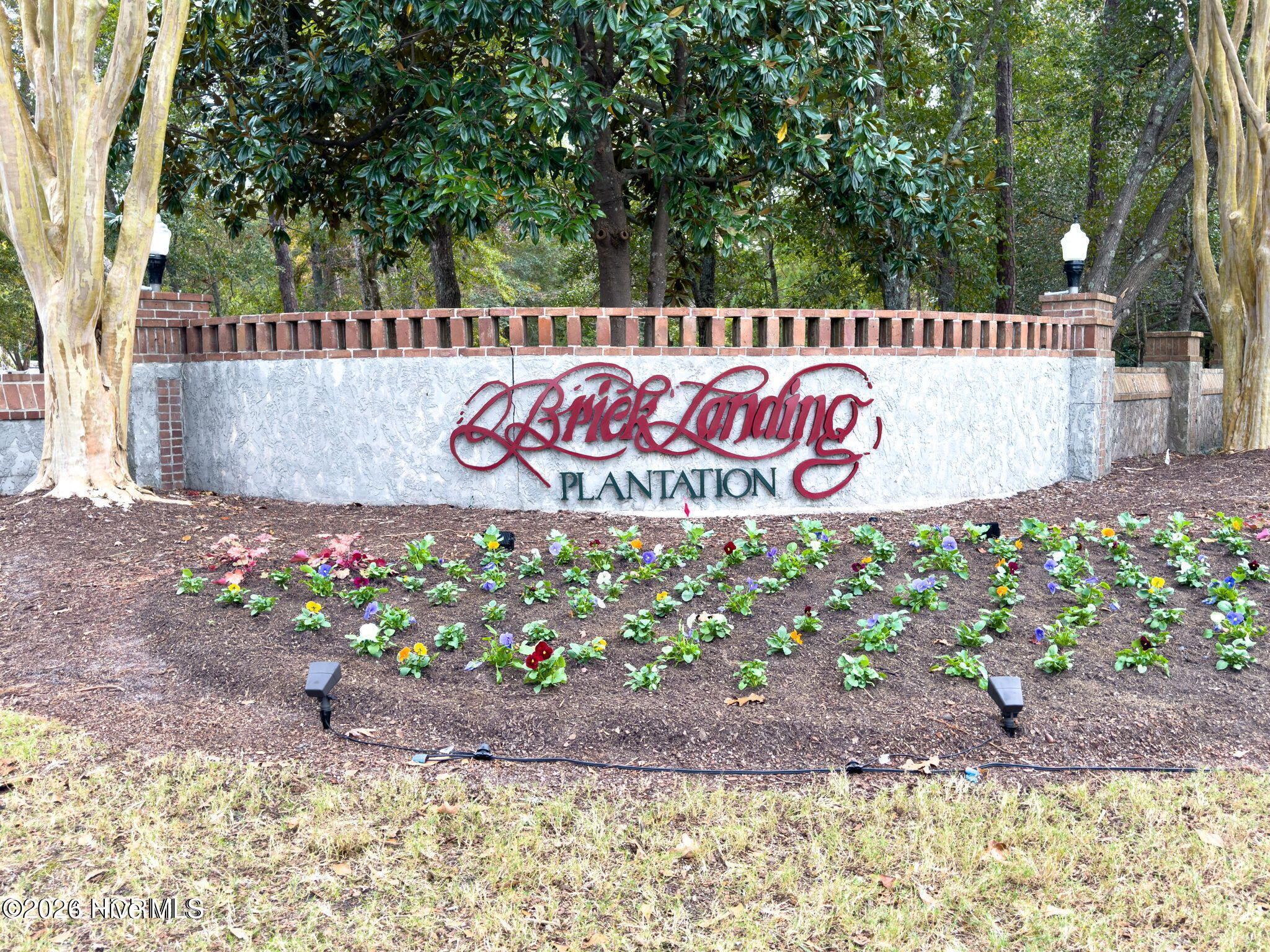 100567951 | Photo 38