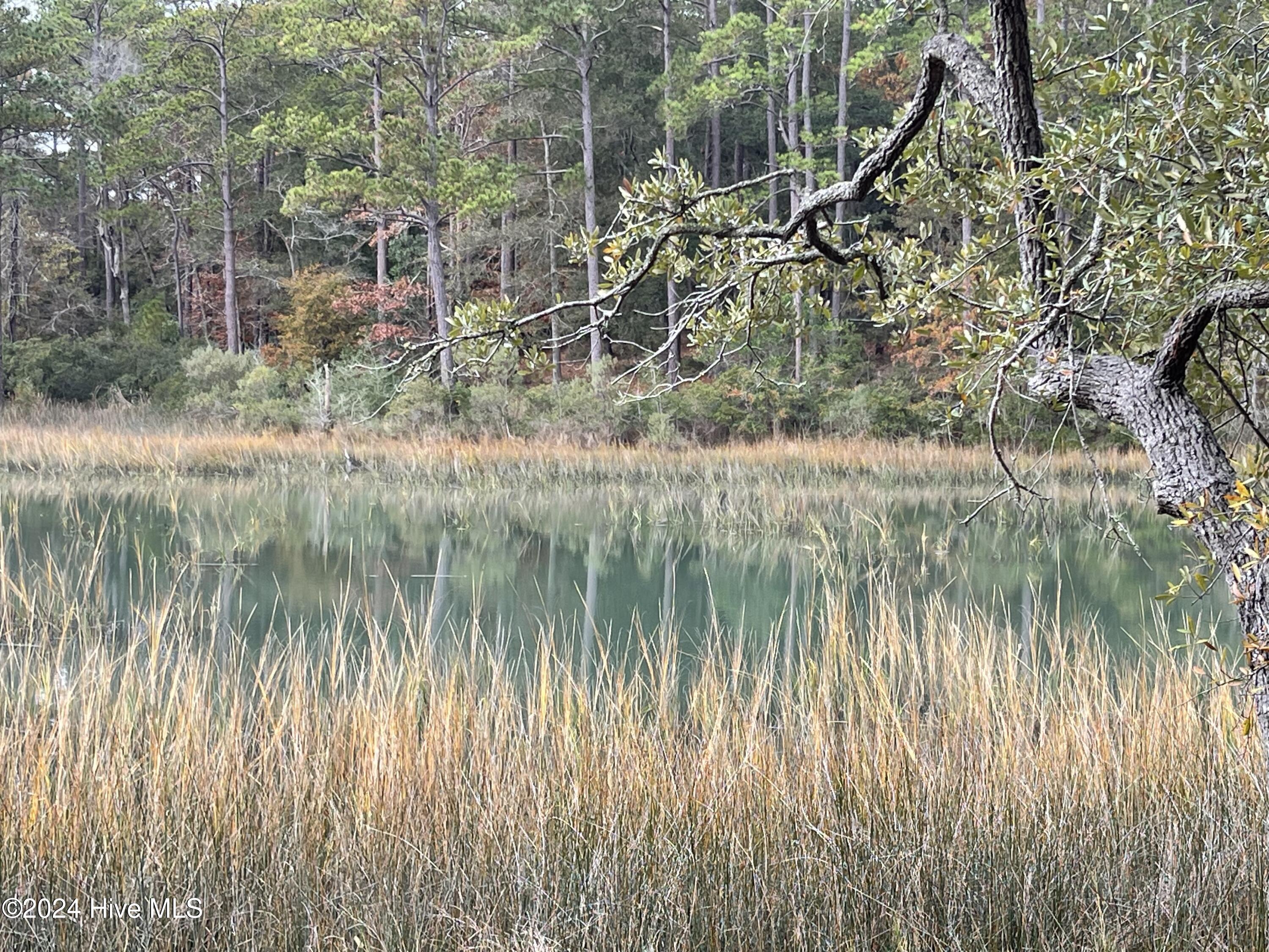 100481360 | Photo 23