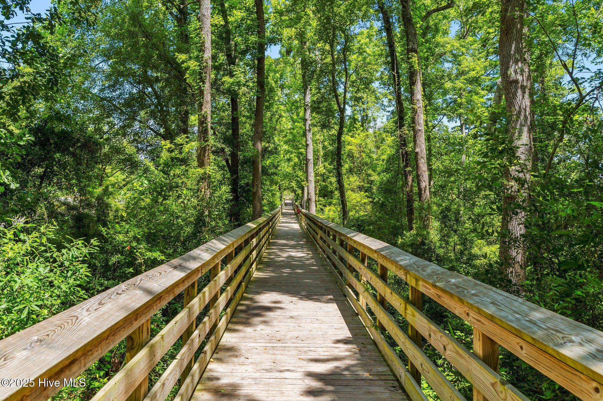 100539239 | Photo 45