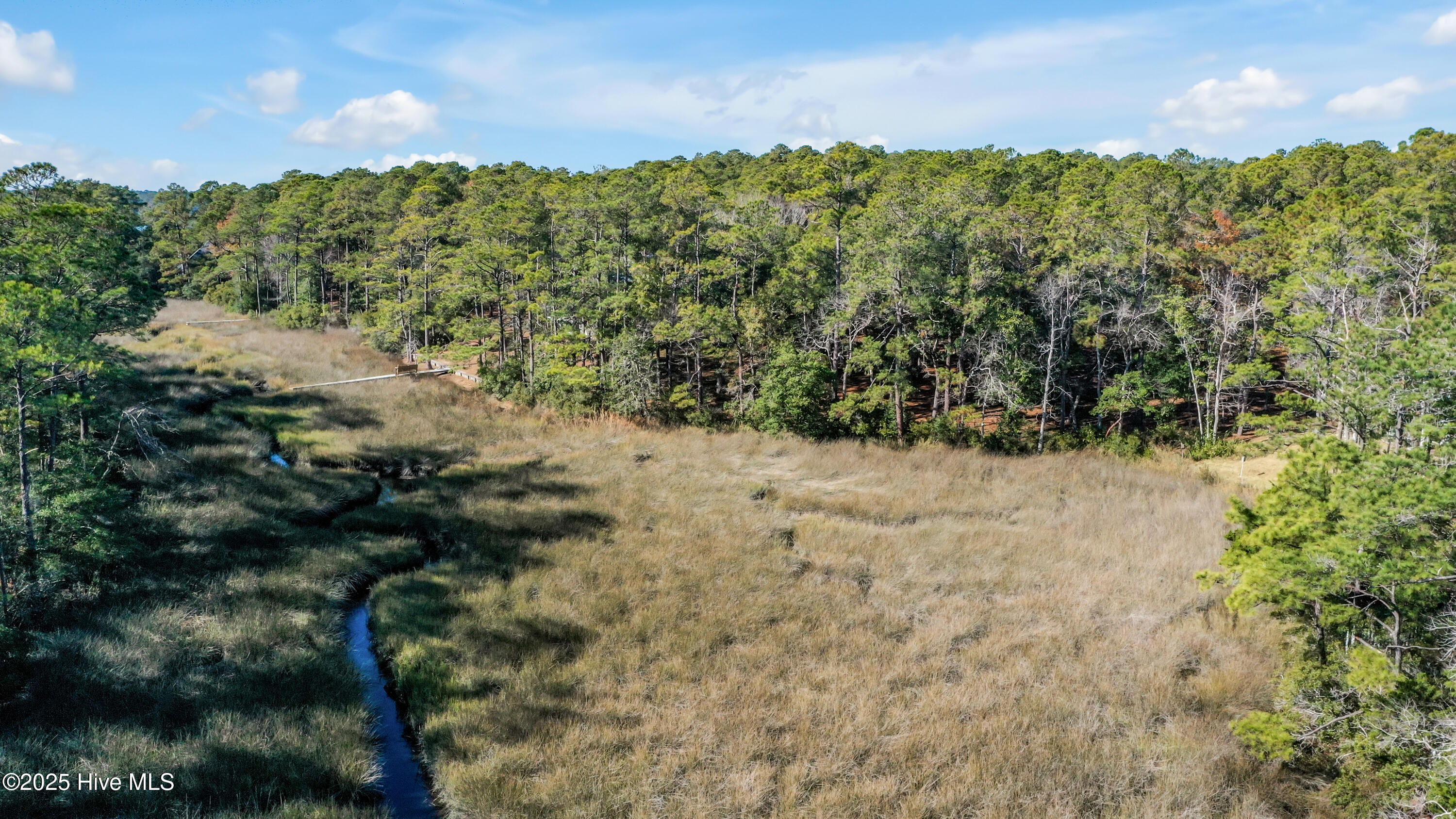 100544315 | Photo 10